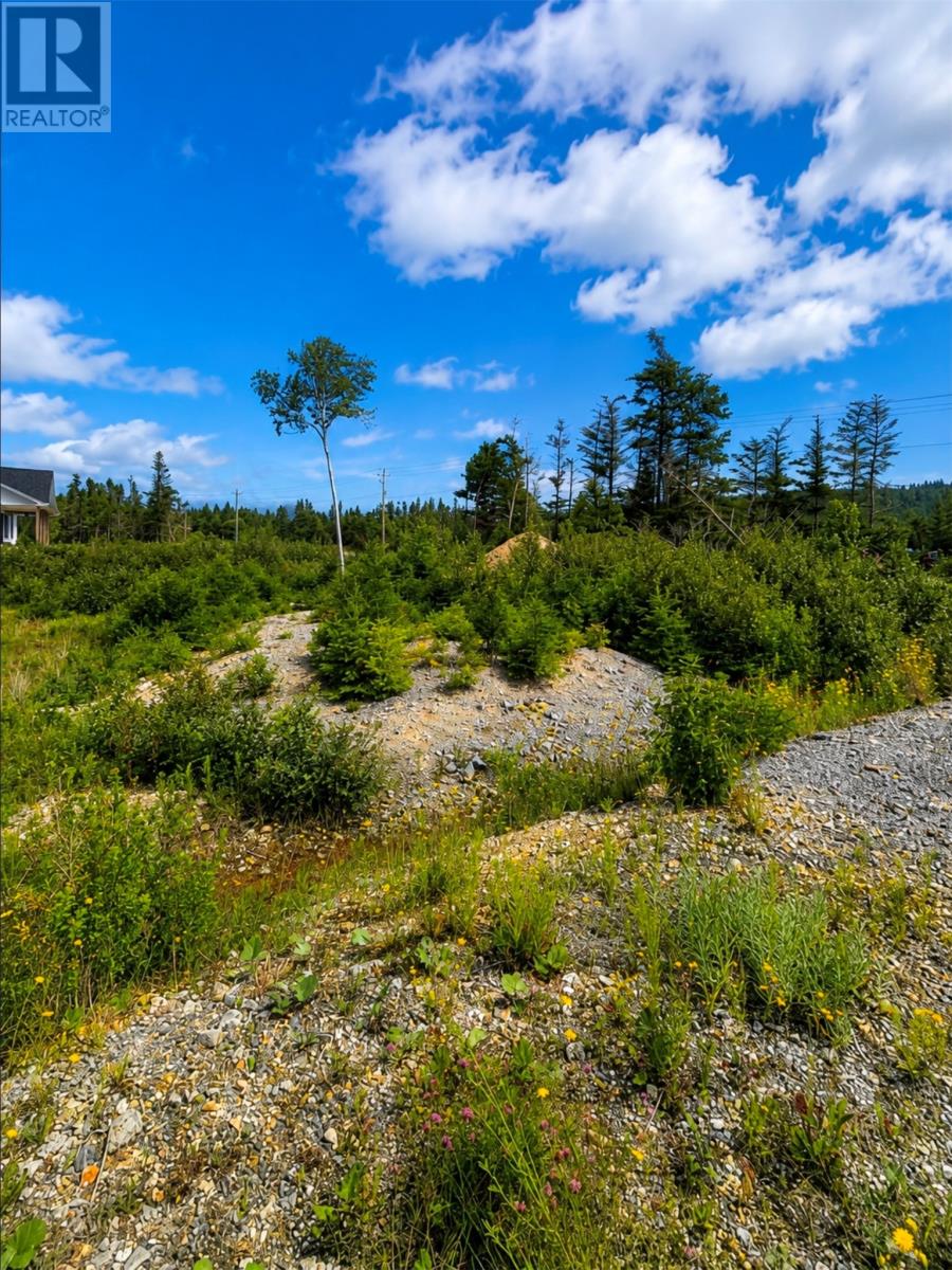 168 Hodgewater Line Property Photo 2