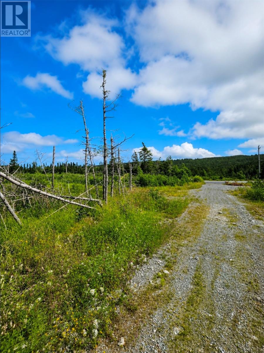 168 Hodgewater Line Property Photo 3