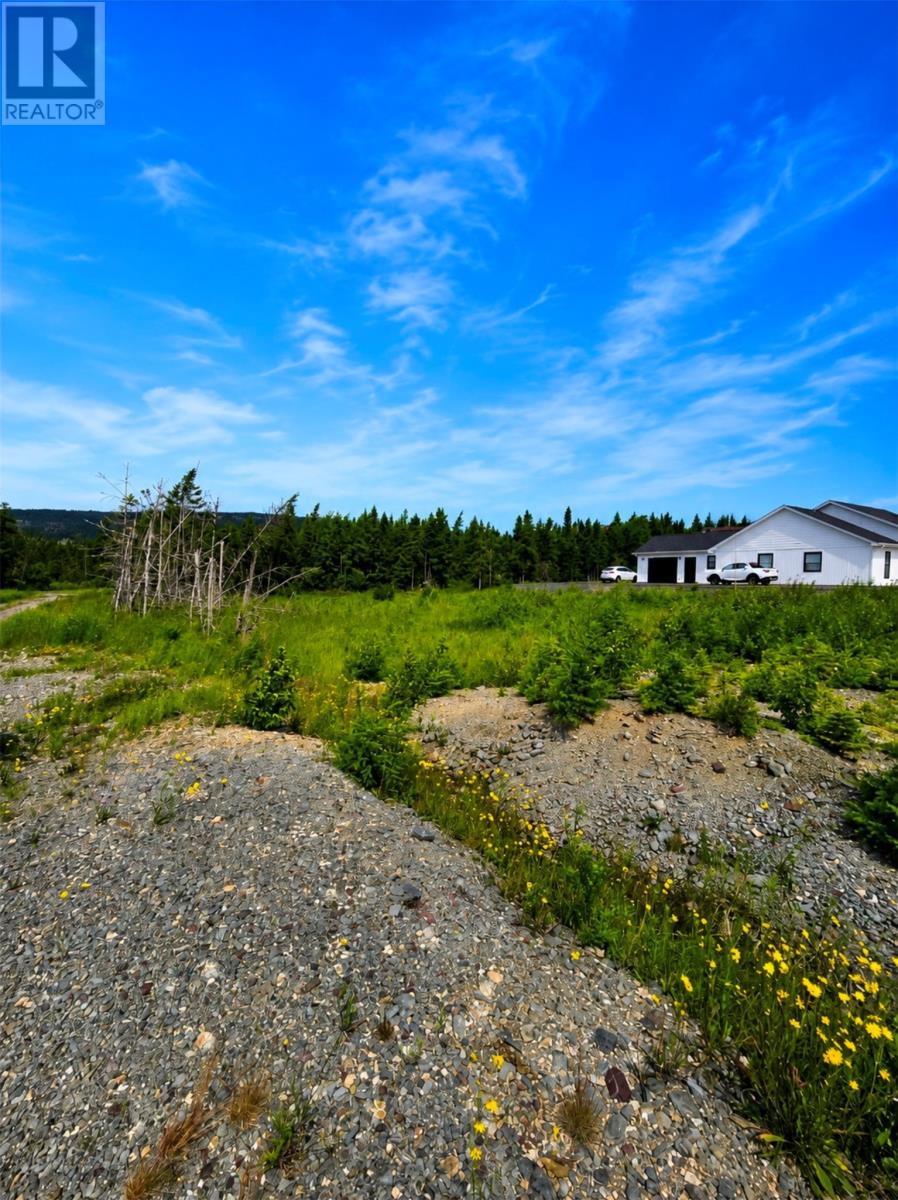 168 Hodgewater Line Property Photo 4