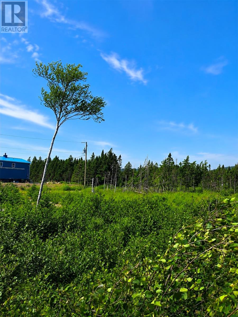 168 Hodgewater Line Property Photo 5