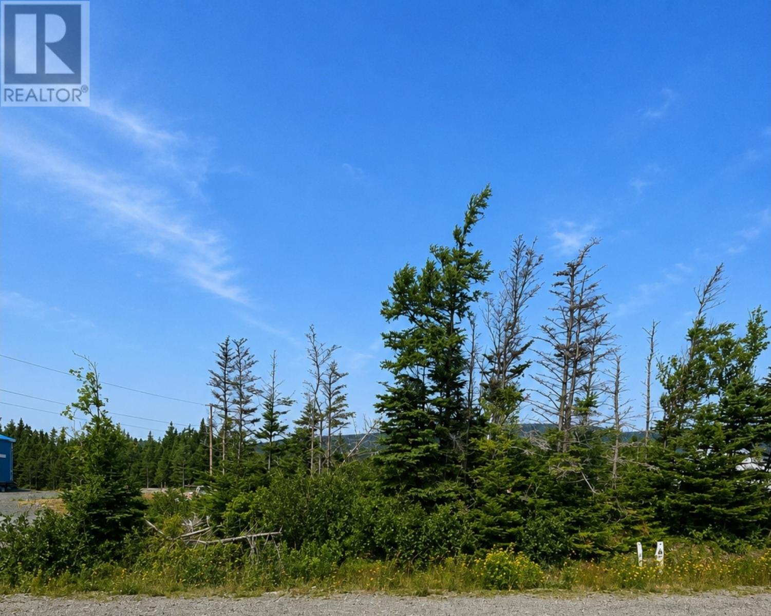 168 Hodgewater Line Property Photo 7