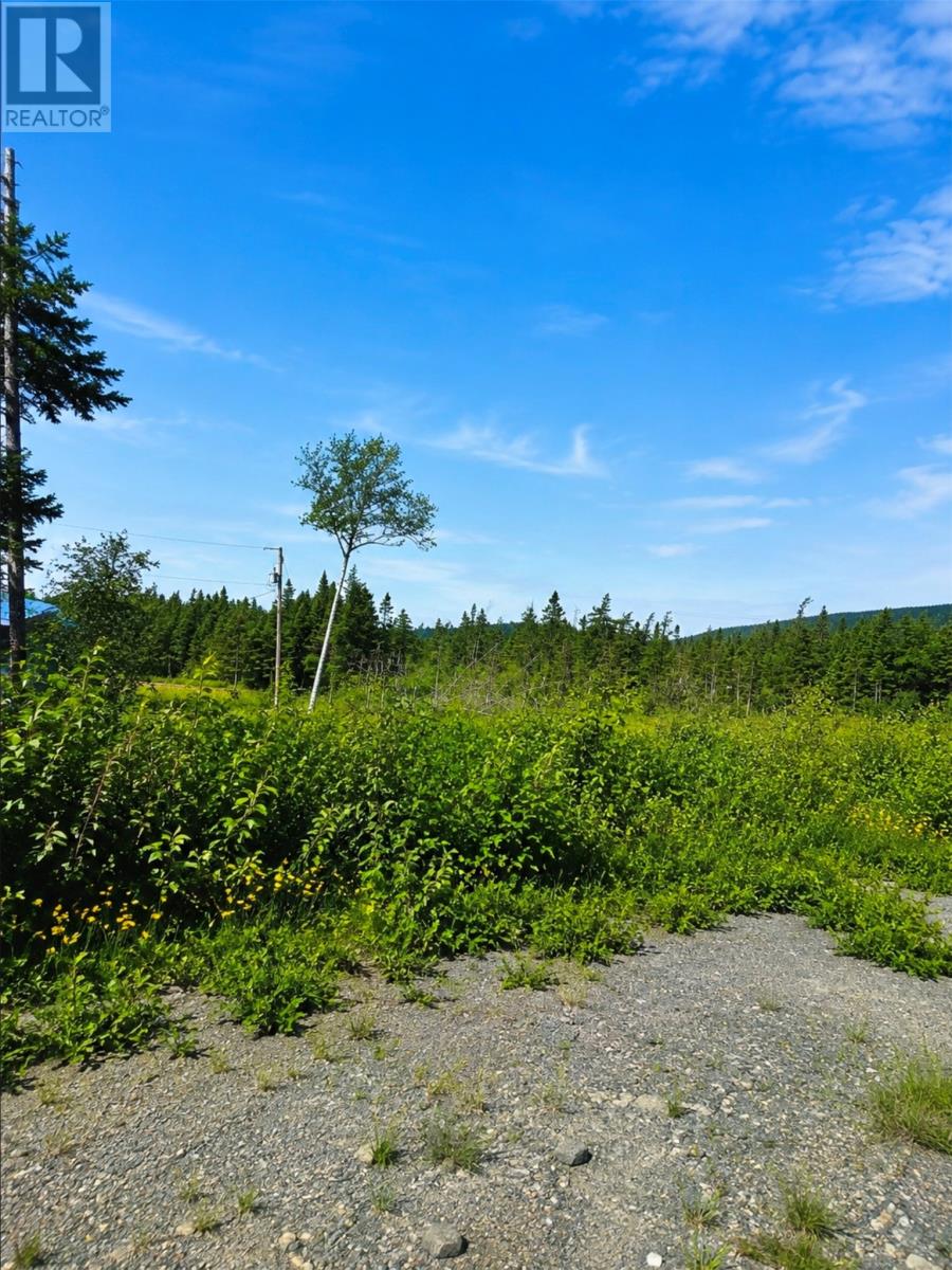 168 Hodgewater Line Property Photo 8