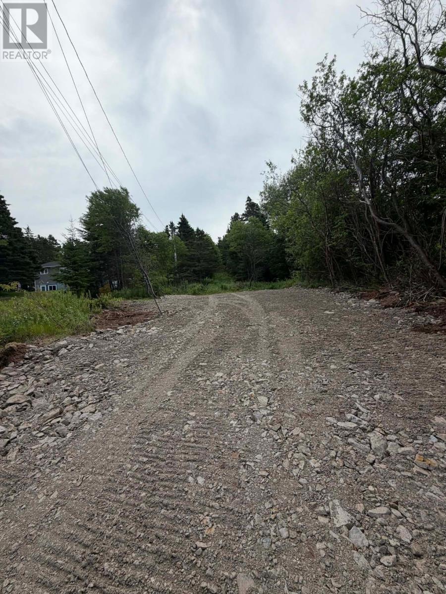 203 Creston Boulevard Property Photo 3
