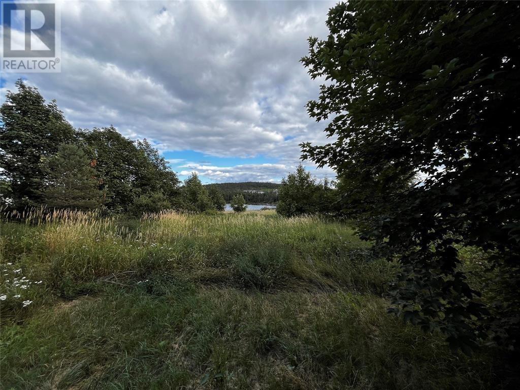 1591 Topsail Road Property Photo 15