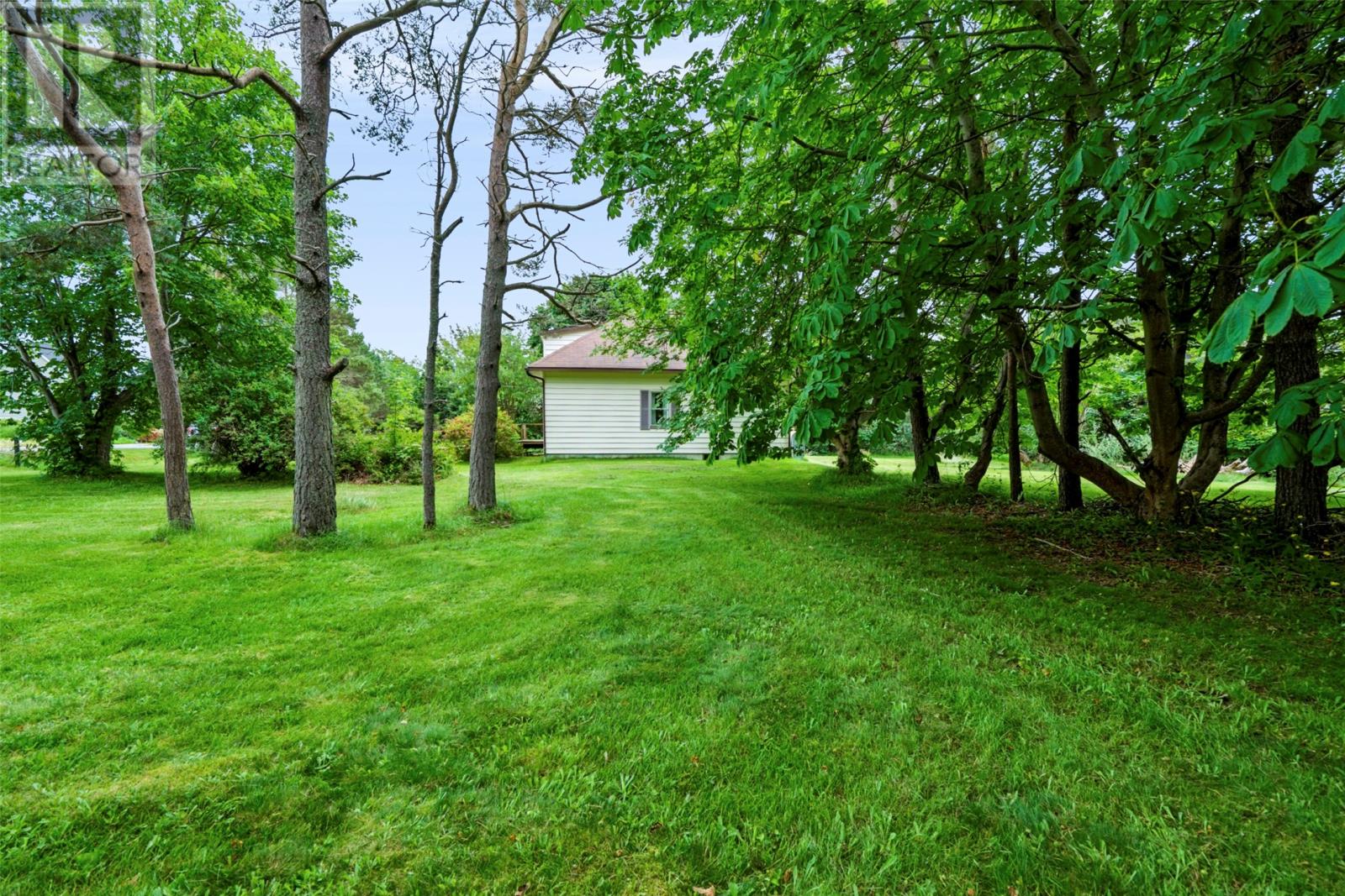 59-65 Cross Road Property Photo 28