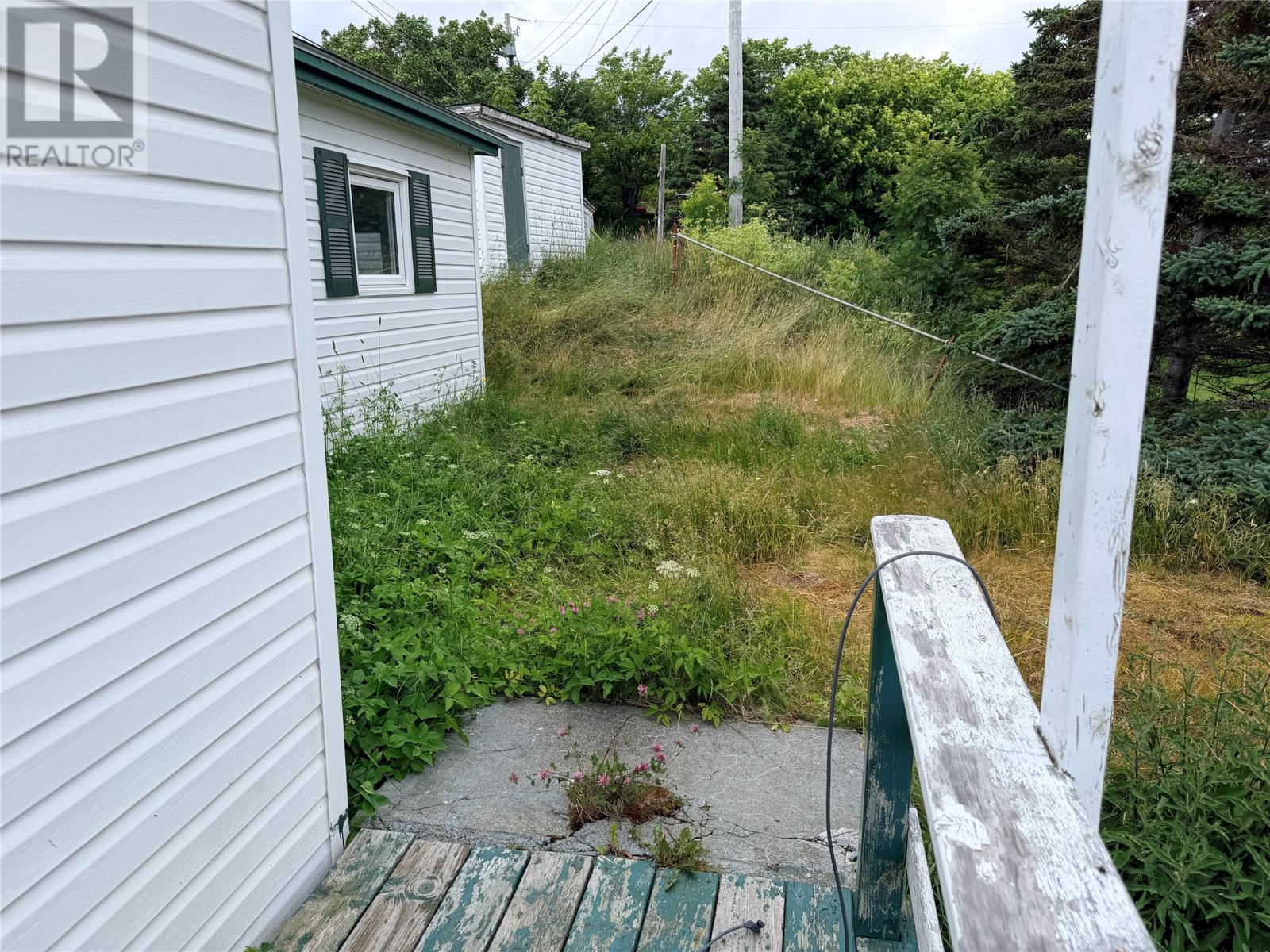 0 Blow Me Down Road Property Photo 20