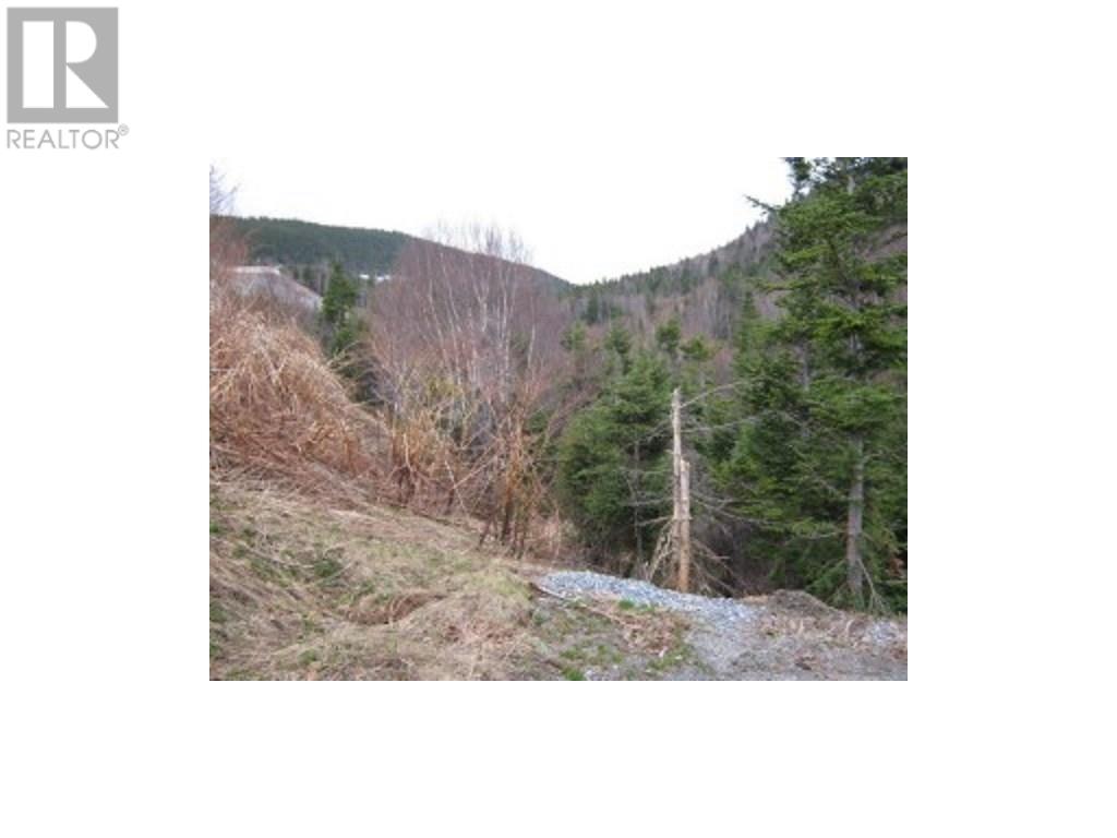 24 Woodmans Road Property Photo 8