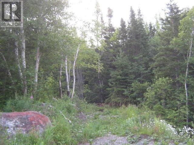 24 Woodmans Road Property Photo 11