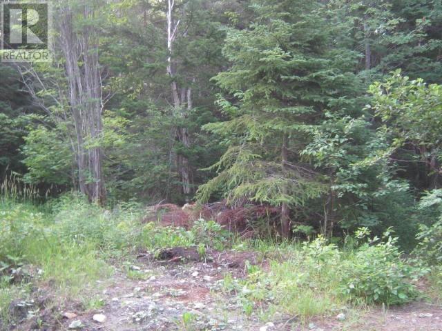 24 Woodmans Road Property Photo 12