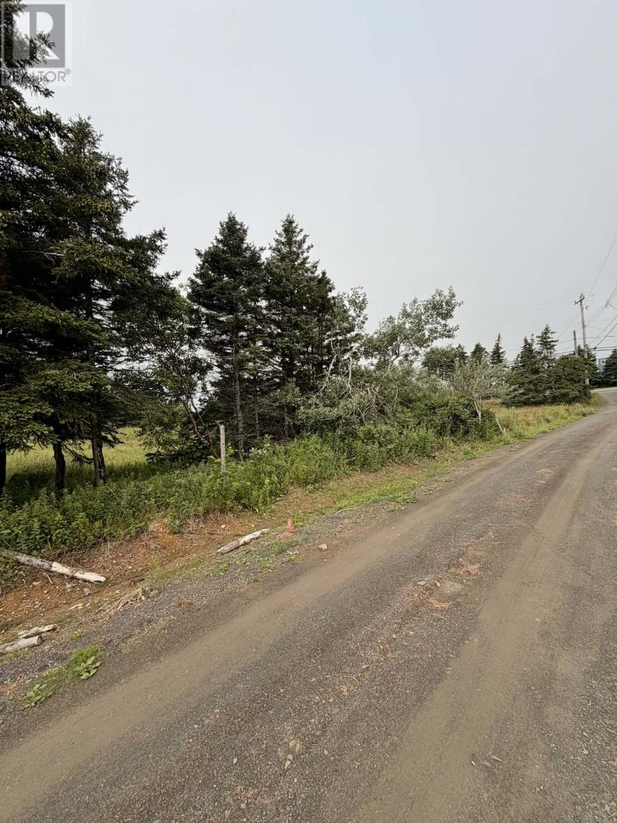 4-6 Lahey's Lane Property Photo 1