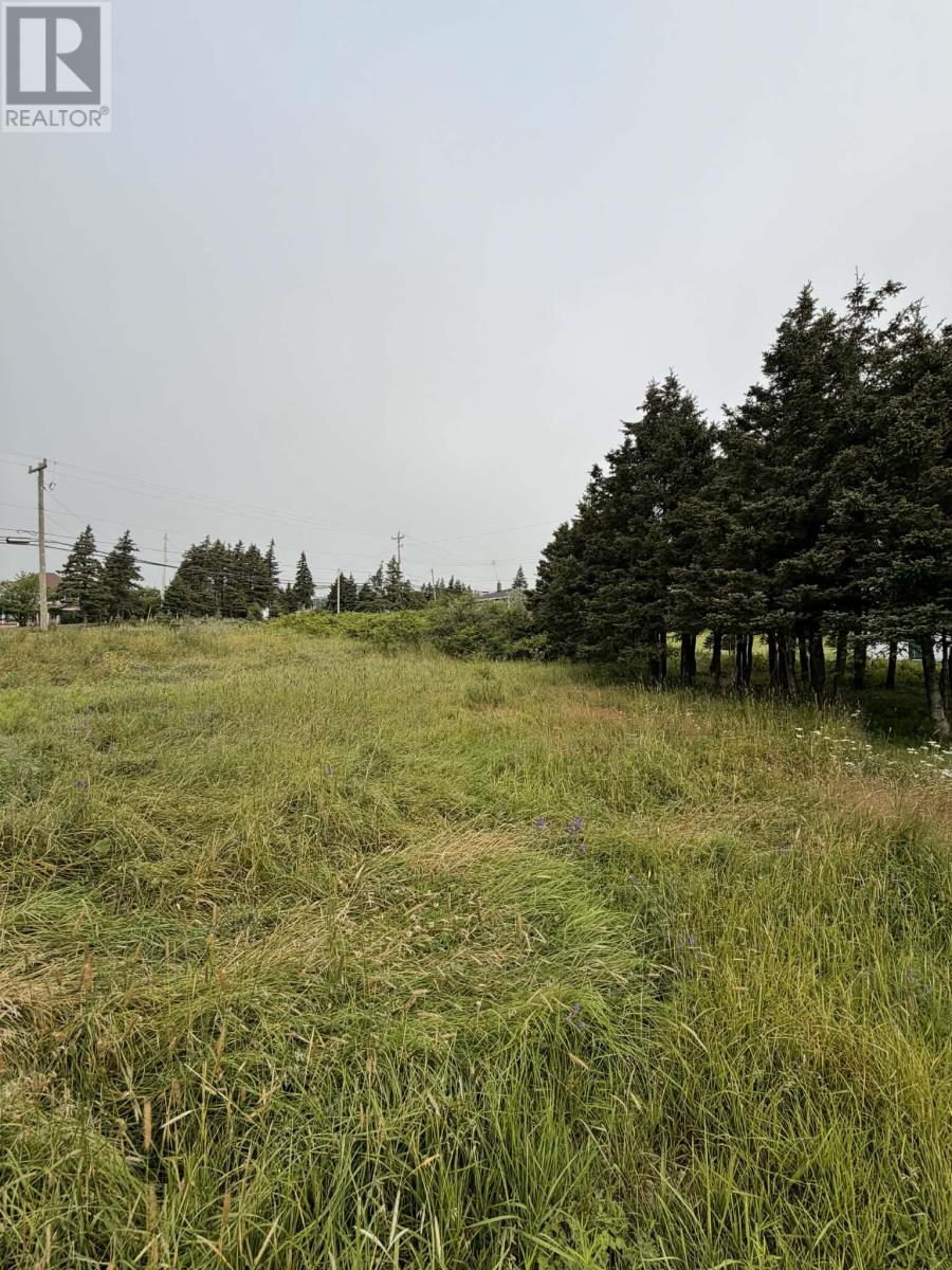 4-6 Lahey's Lane Property Photo 3