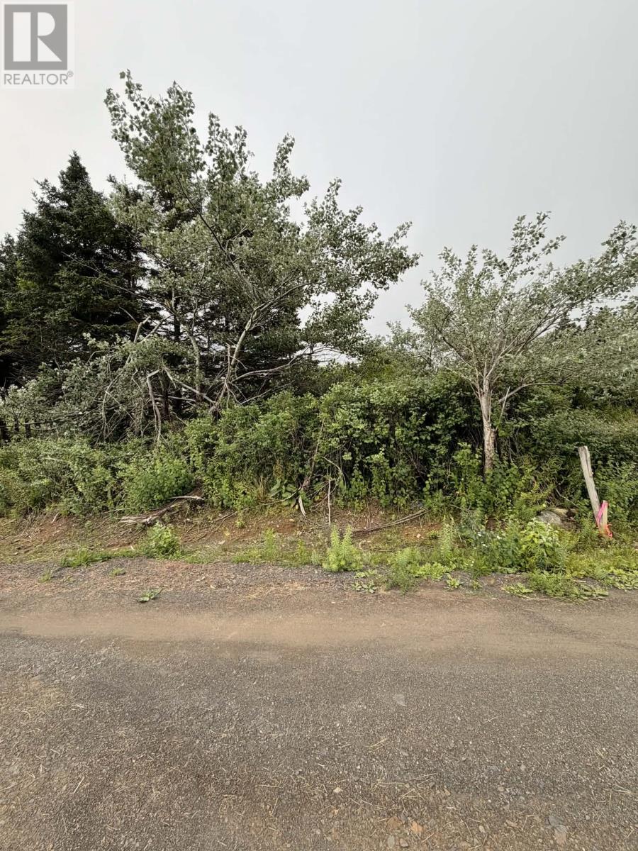 4-6 Lahey's Lane Property Photo 4