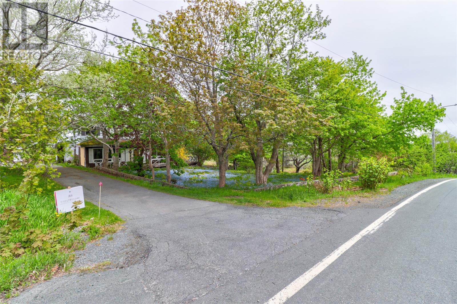 434 Allandale Road Property Photo 4