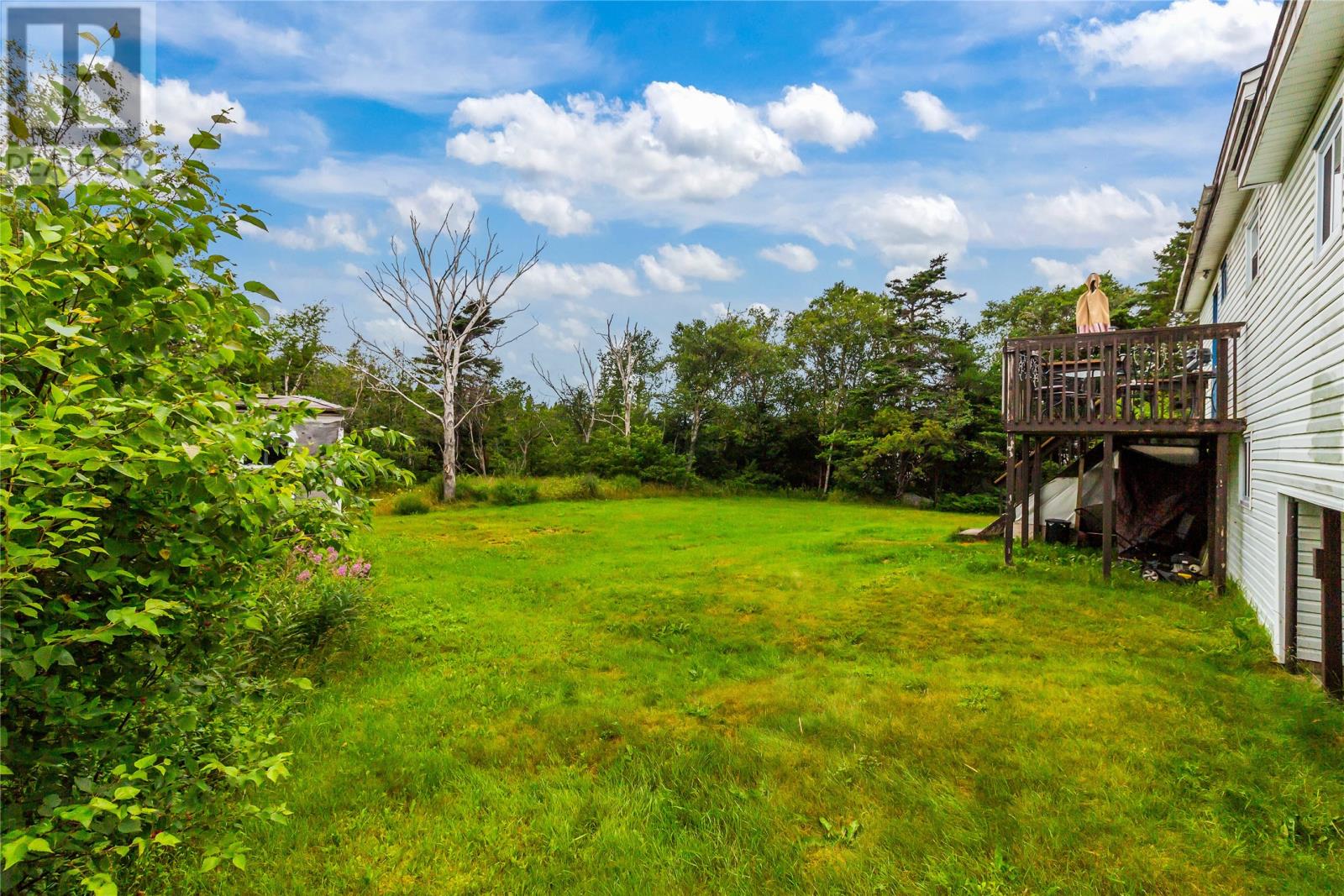 46 Conception Bay Highway Property Photo 36