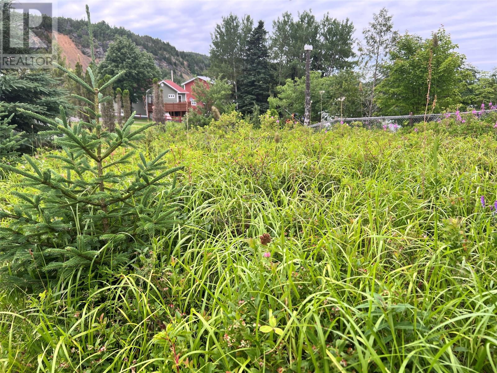 185 Main Street Property Photo 36