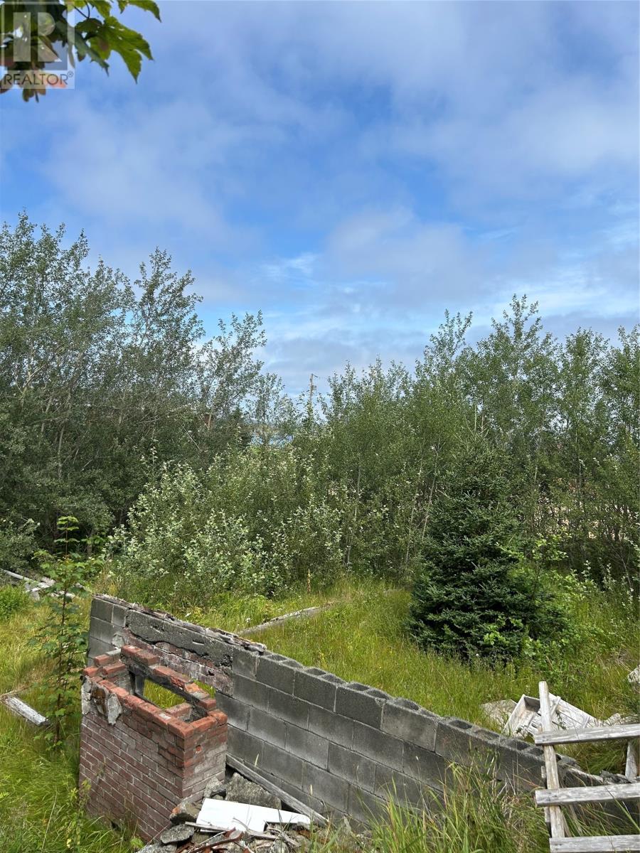 116 Bareneed Road Property Photo 25
