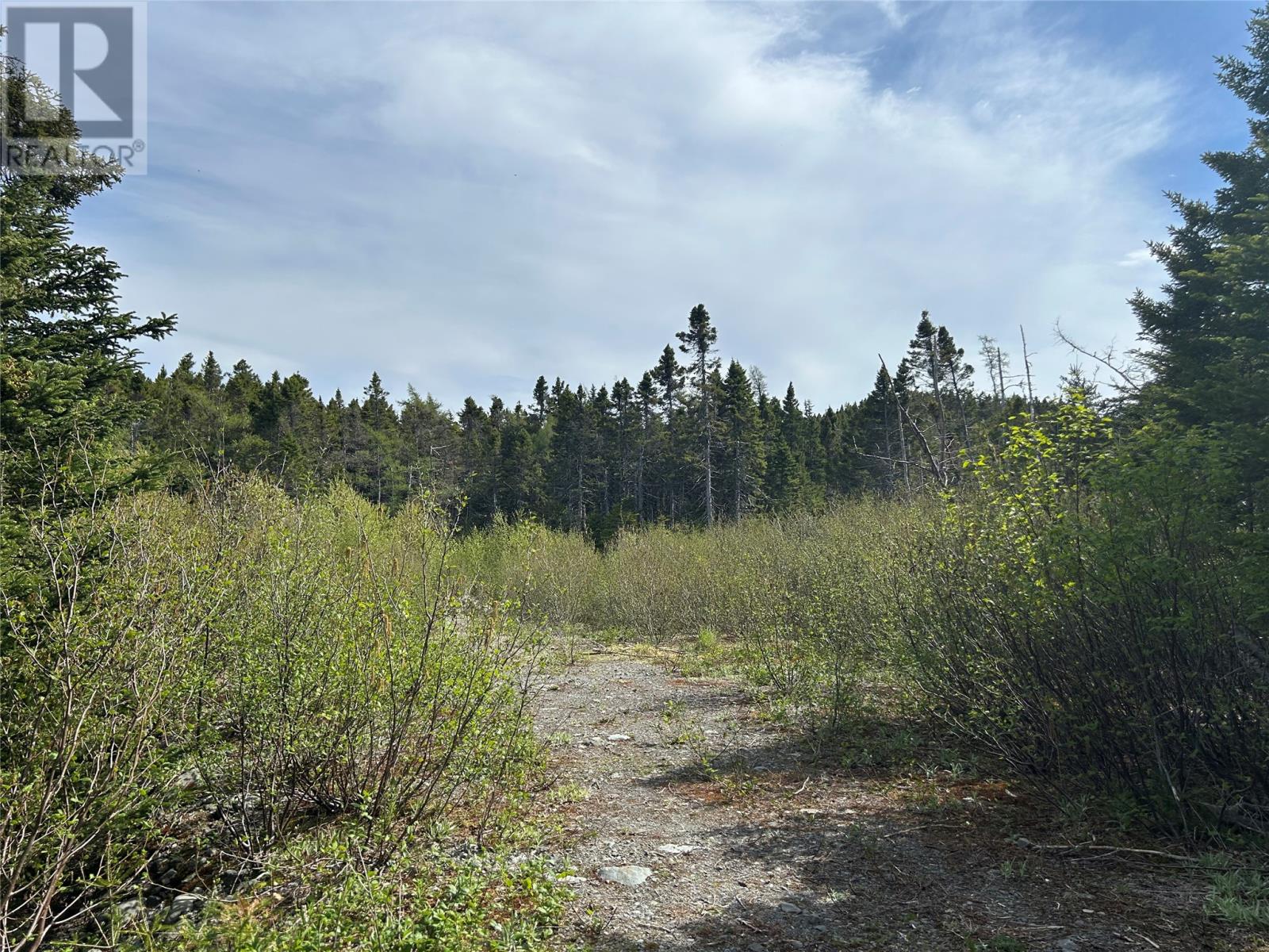 20 Ryan Road Property Photo 1