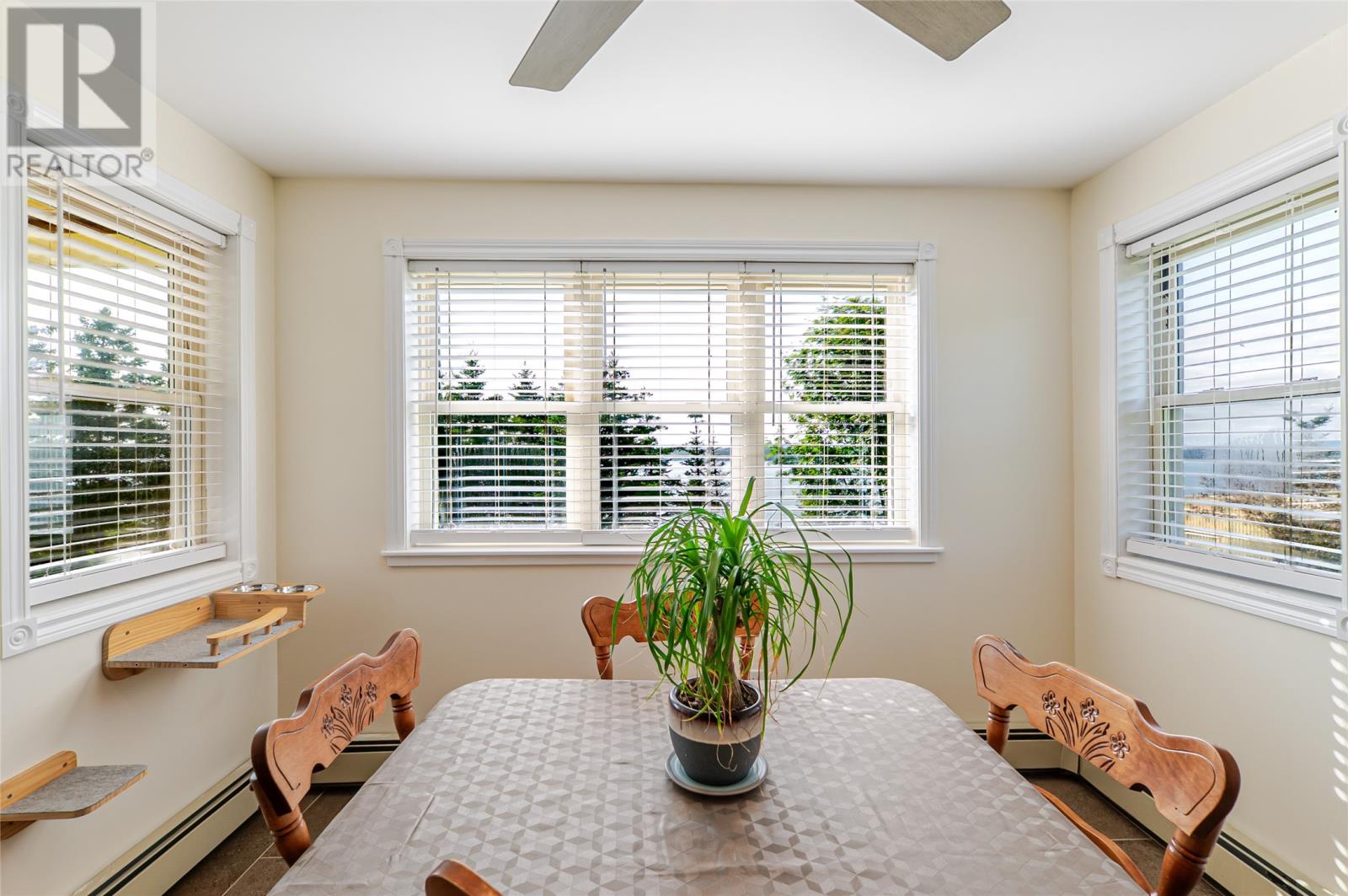 11 Jones Road Property Photo 28