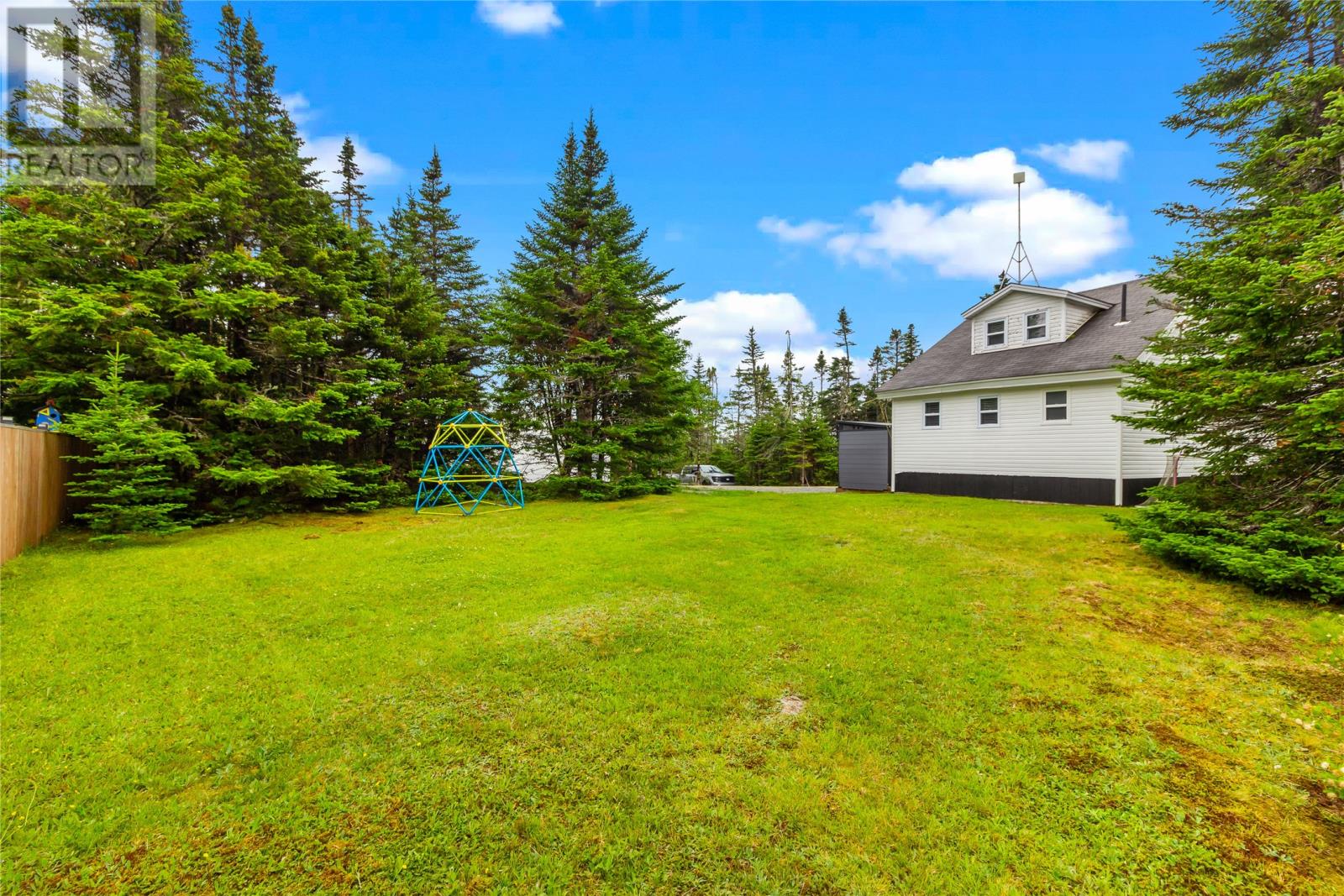 0 Salmonier Line Property Photo 28