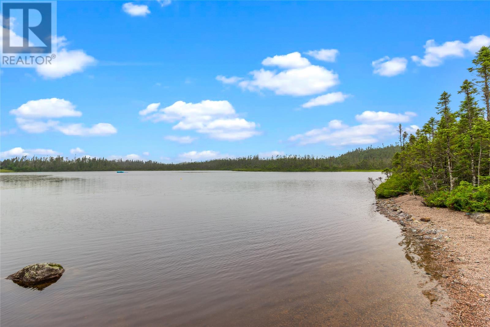 0 Salmonier Line Property Photo 33
