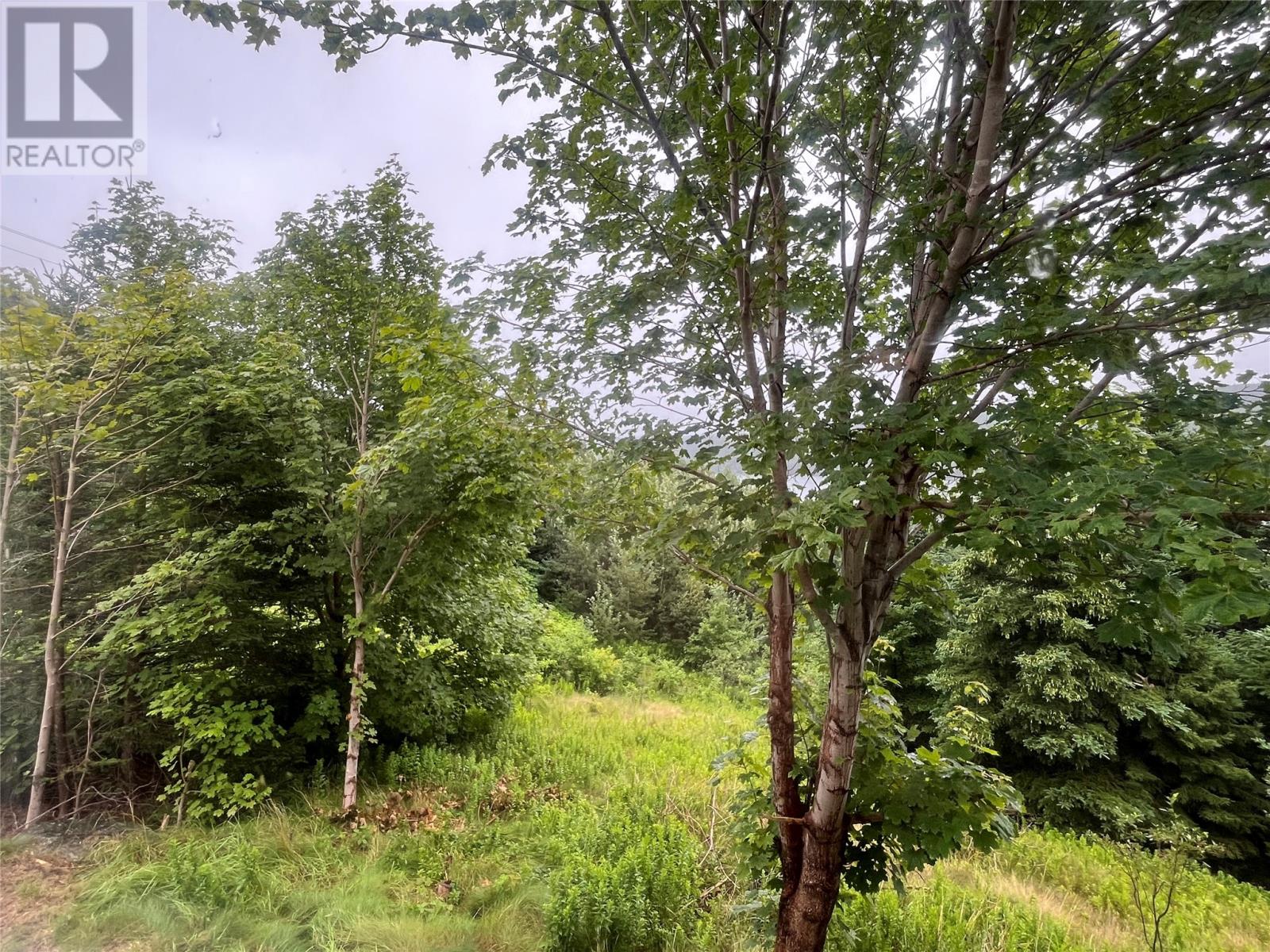 201 Main Road Property Photo 7