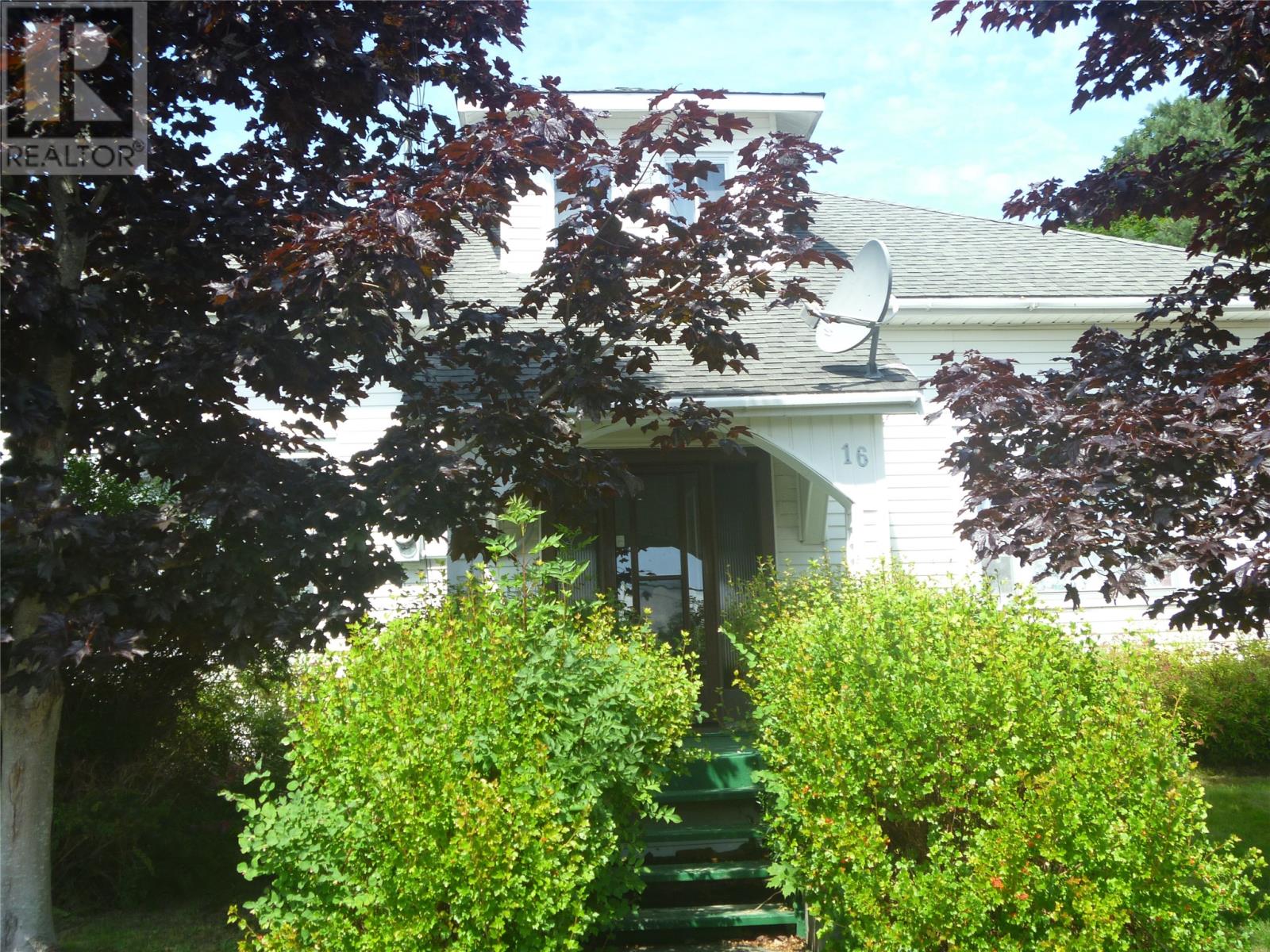 16 Patrick Street Property Photo 4