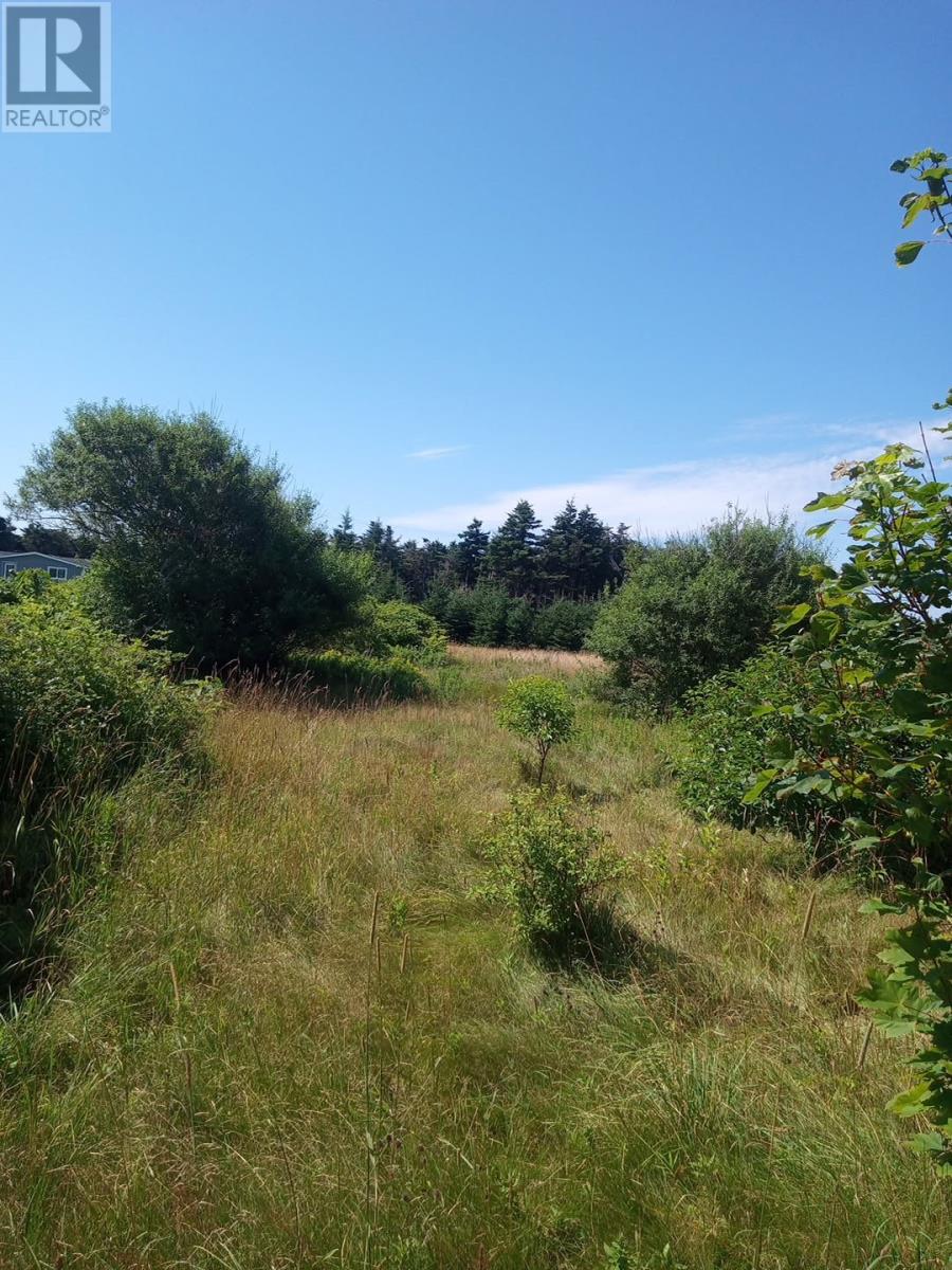 41a Main Street Property Photo 3
