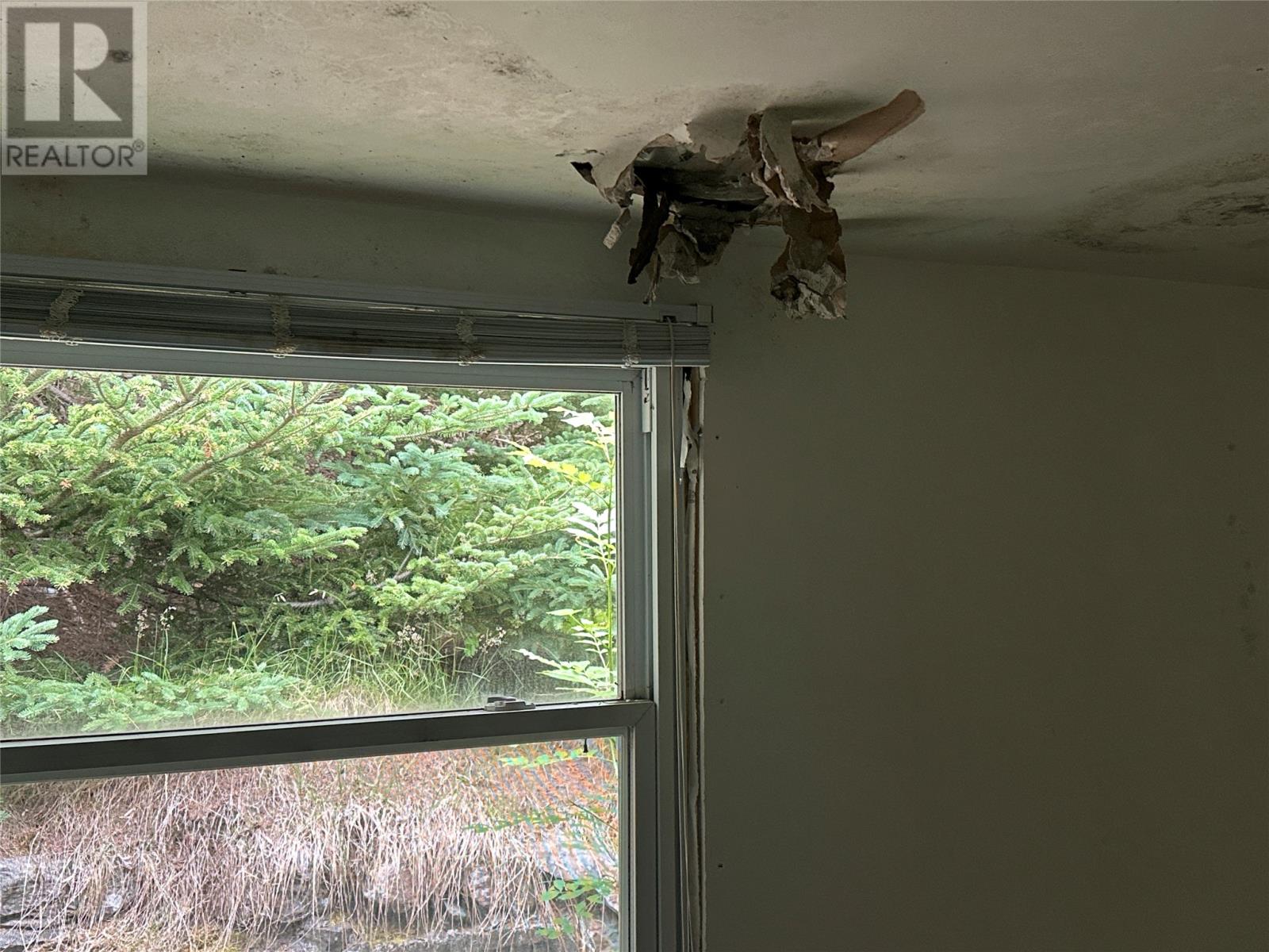 950 Main Road Property Photo 12