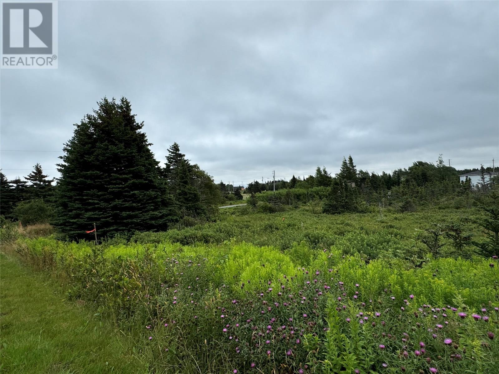 17a Crowes Lane Property Photo 1