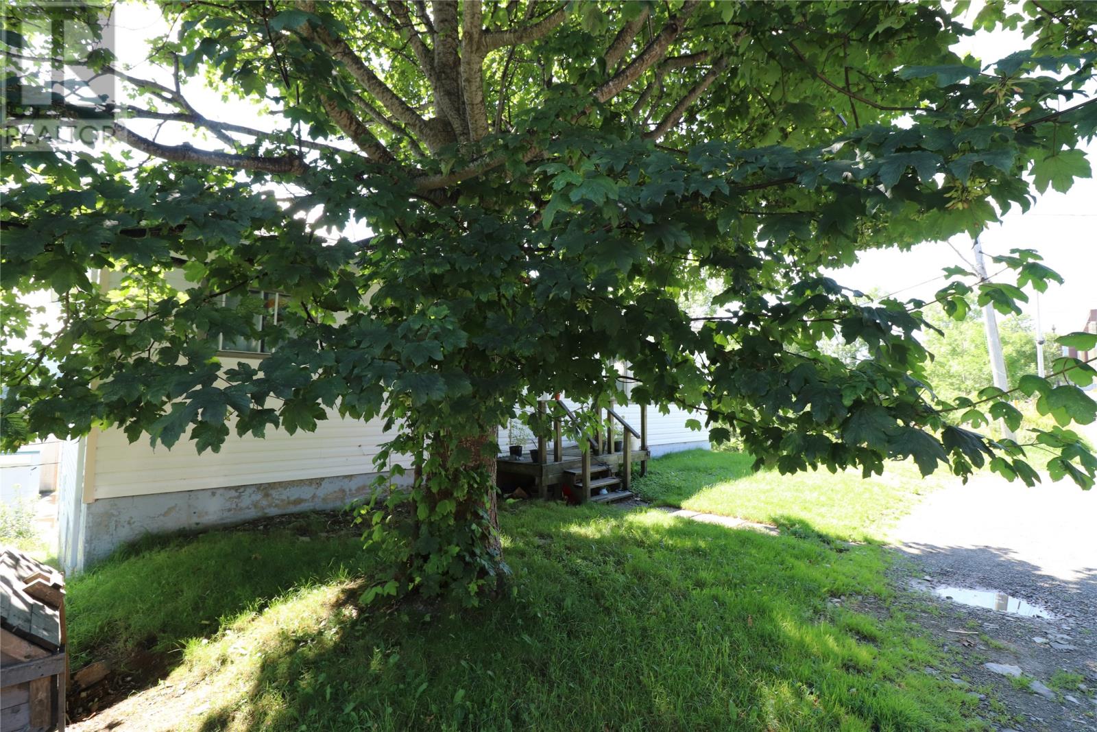 19 Patrick Street Property Photo 16