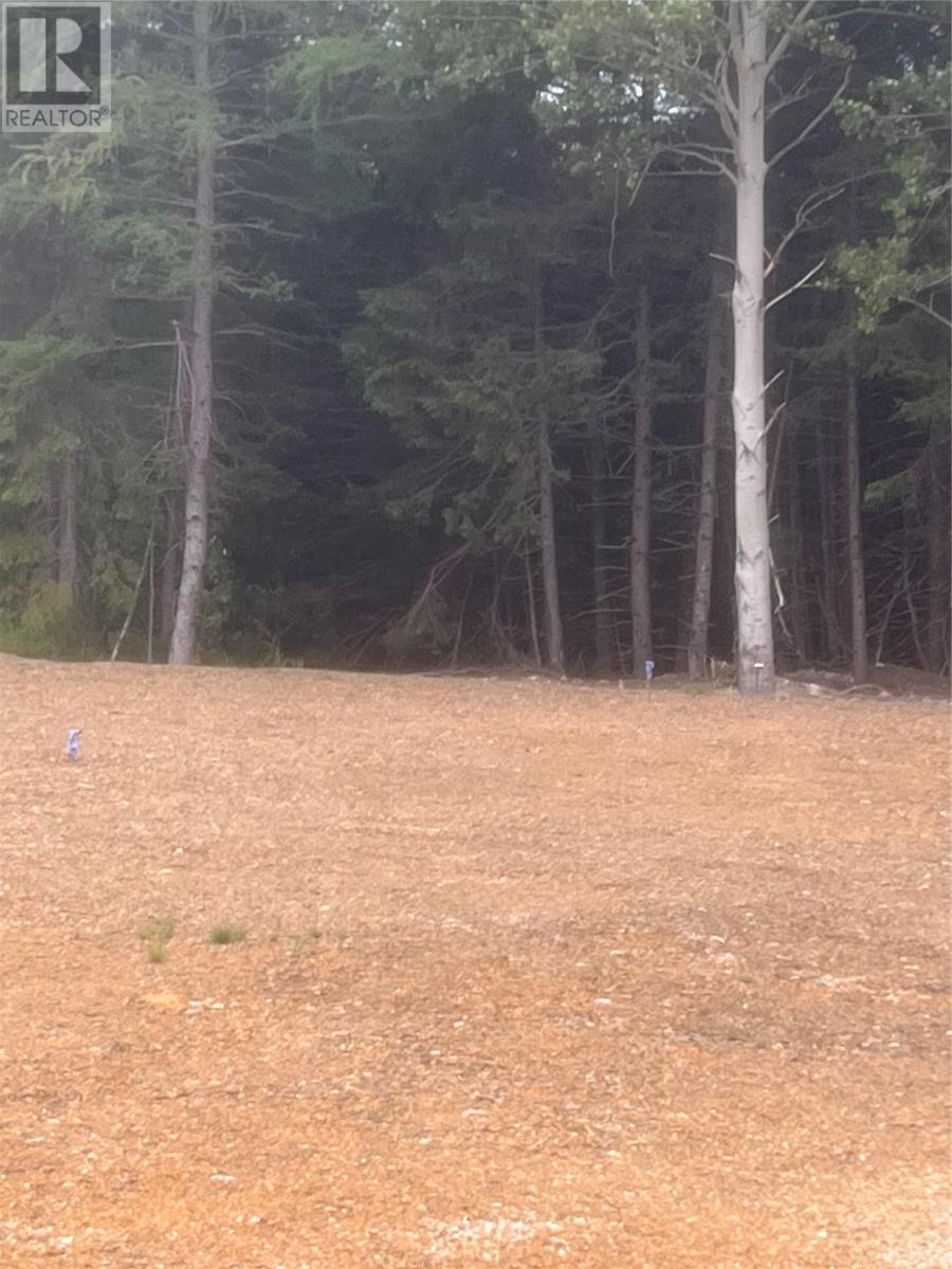 0 Ralph's Road Property Photo 1