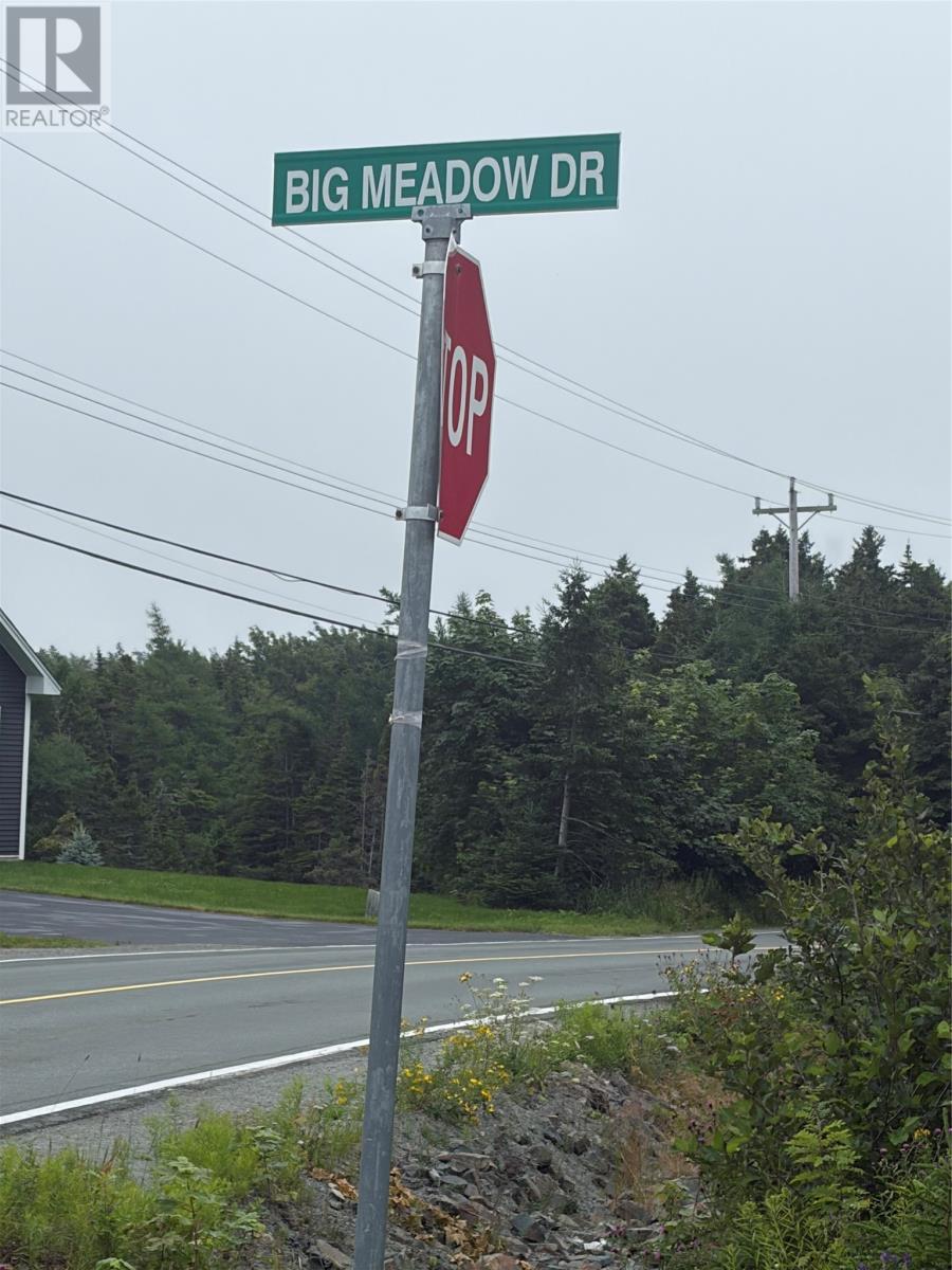 54 Big Meadow Drive