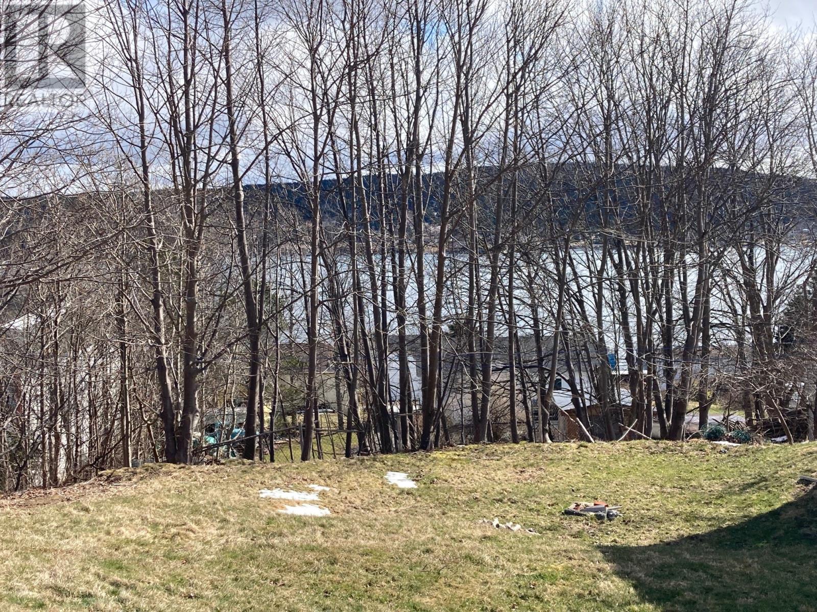 26 Masonic Avenue Property Photo 4