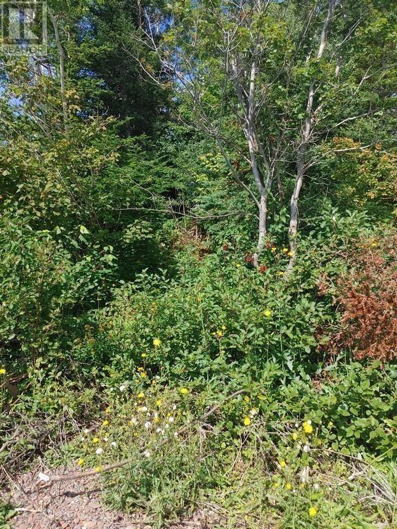 11 Point Leamington Highway Property Photo 1