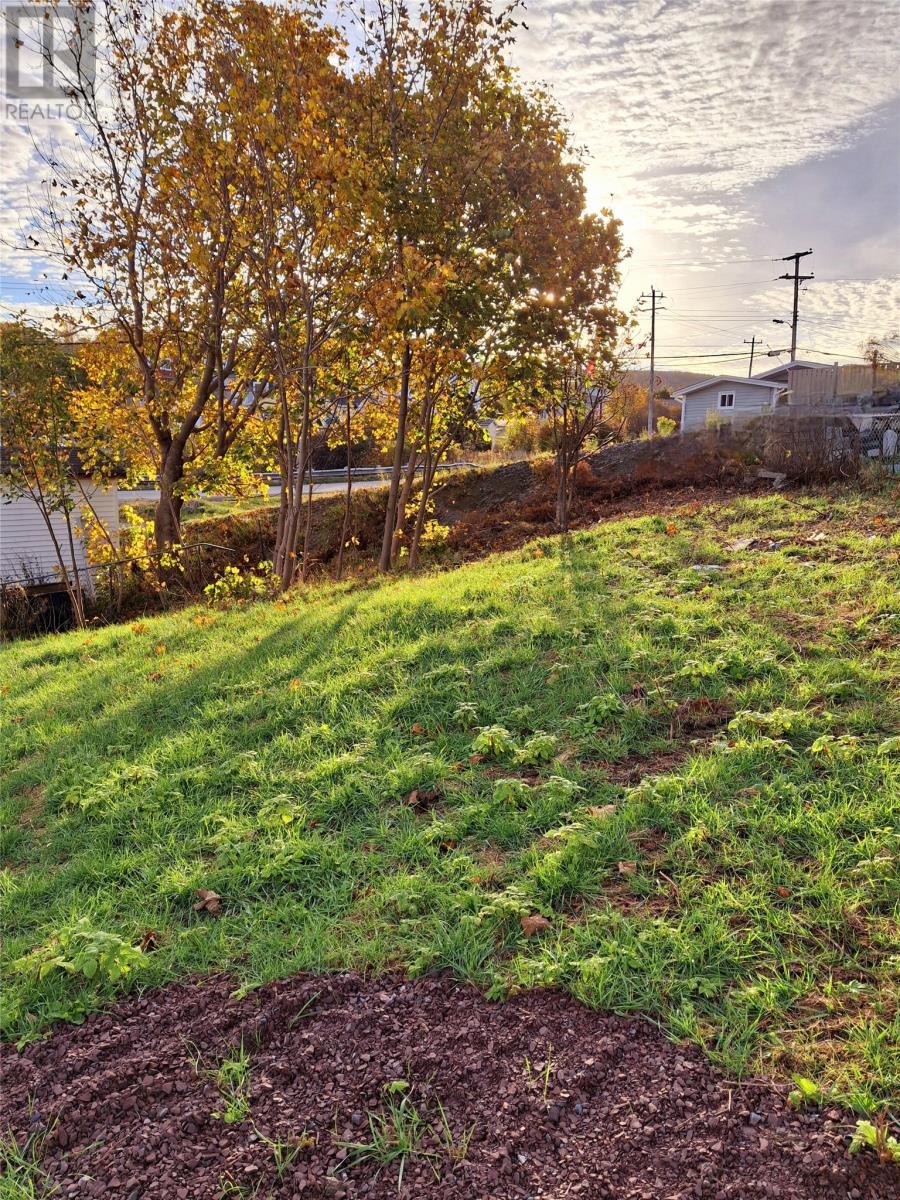 213 A Main Road Property Photo 13