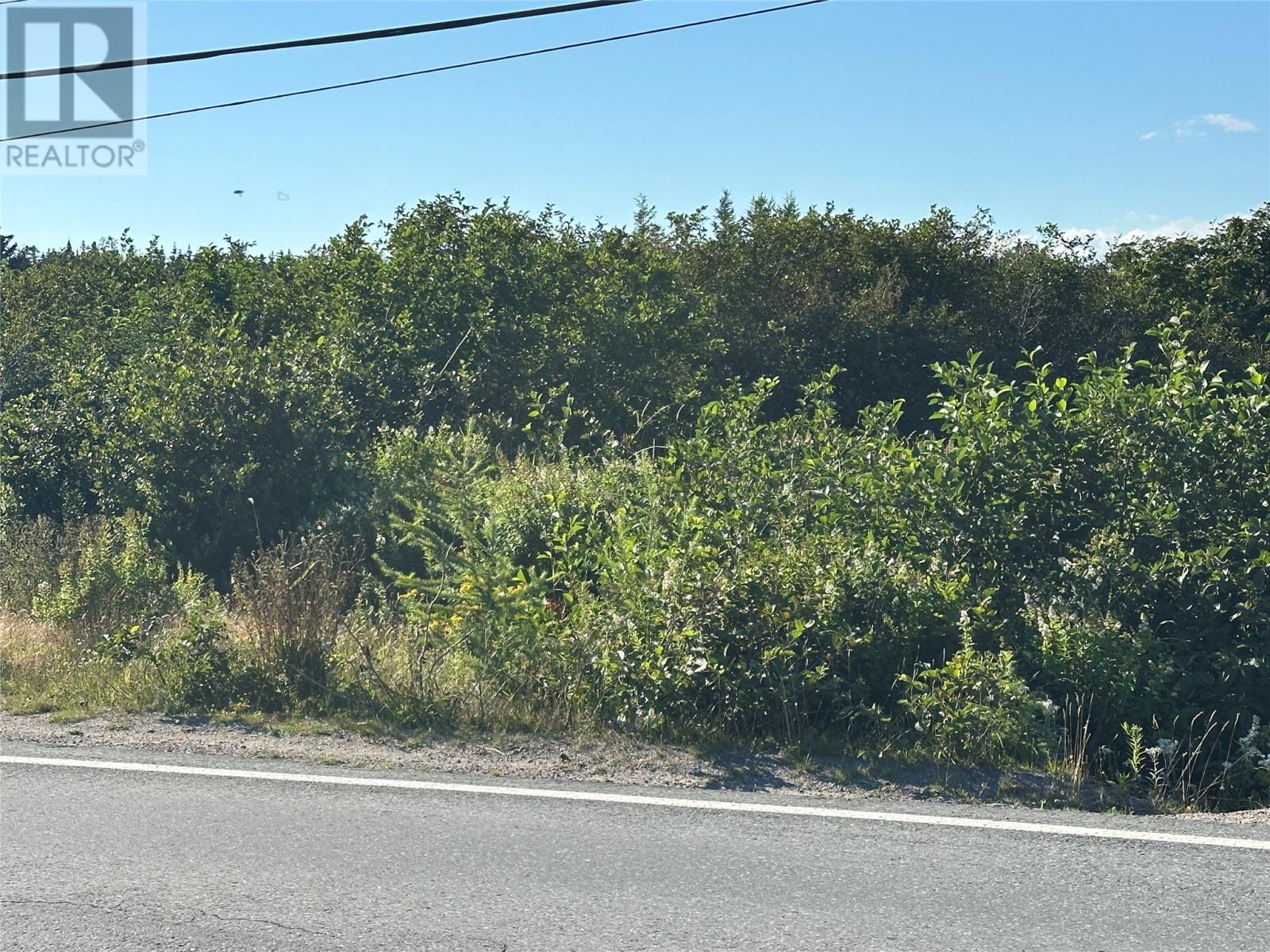 285-291 Main Road Property Photo 3