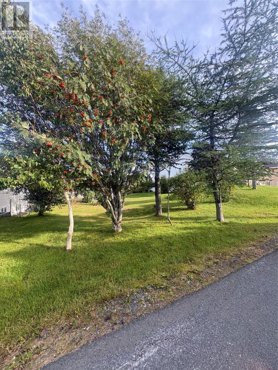 15 Cedar Drive Property Photo 4