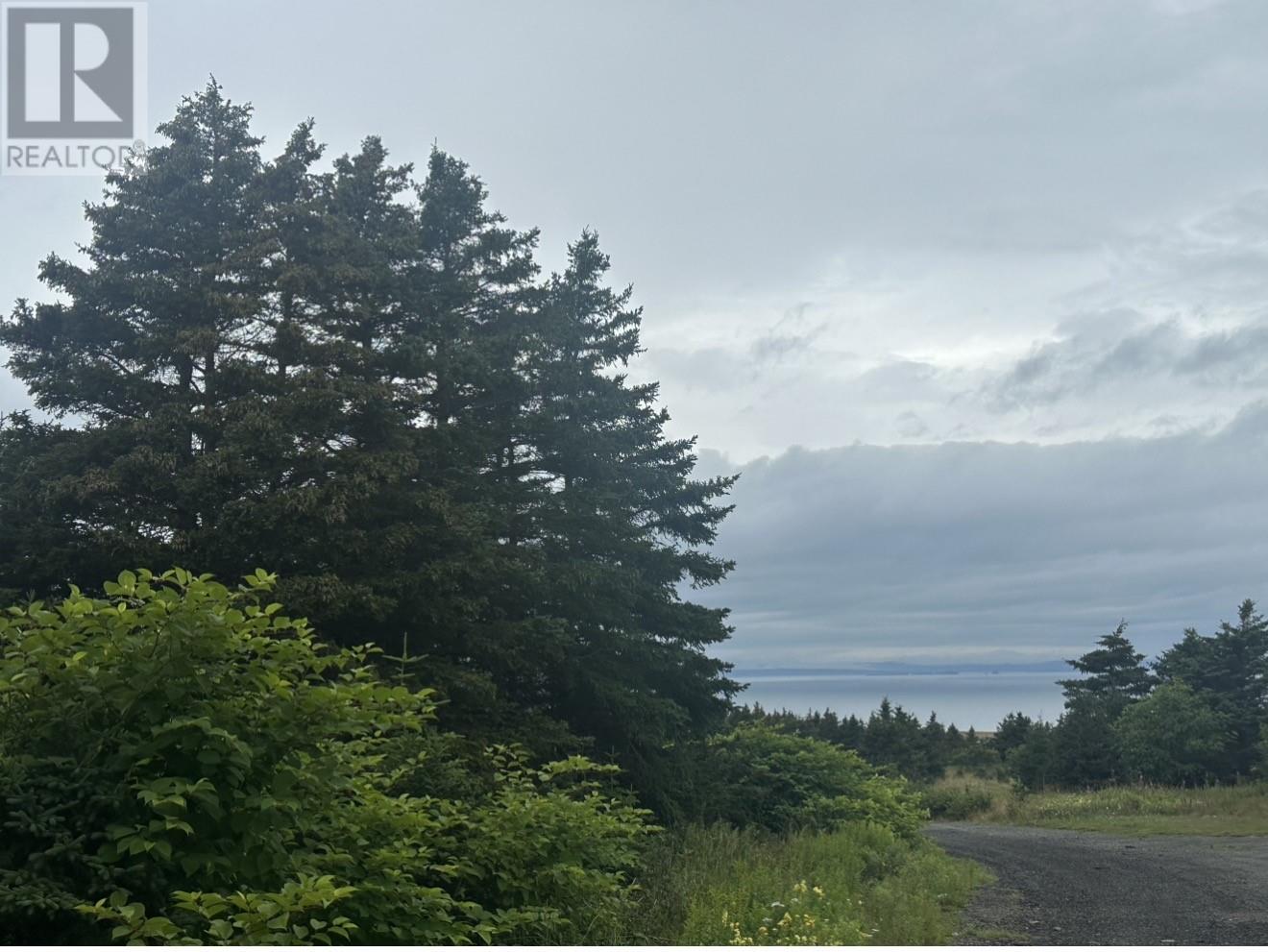 0 Back Road Property Photo 1
