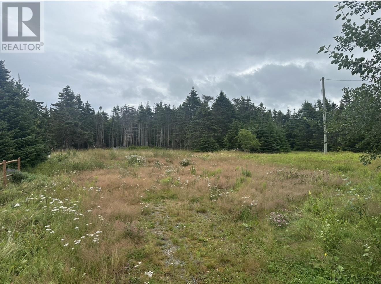 19 Dobbin's Road Property Photo 4