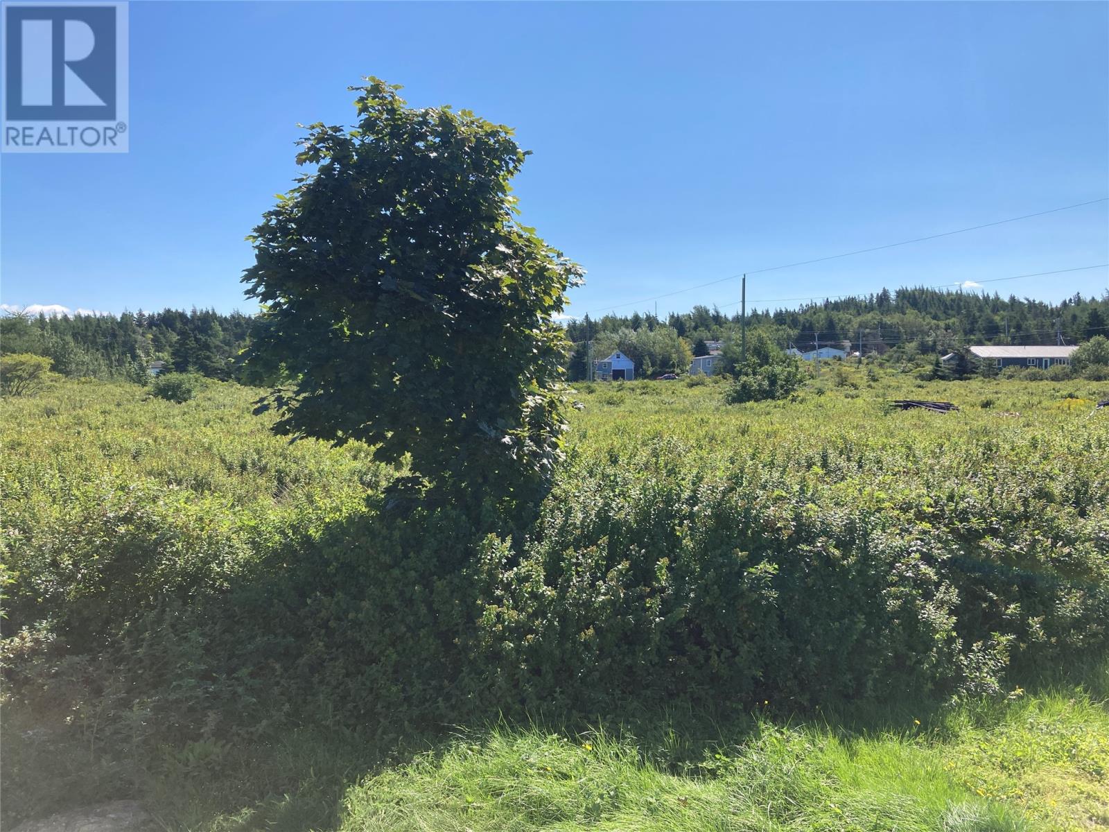 20 Costello's Lane Property Photo 5