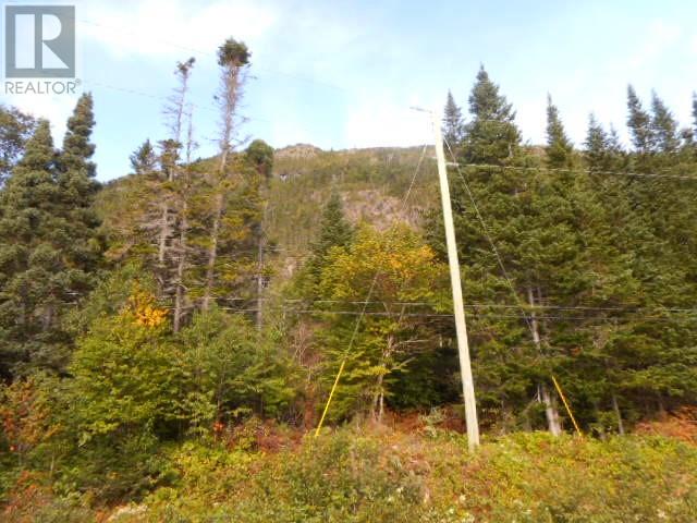 00 Route 391-10 Property Photo 3