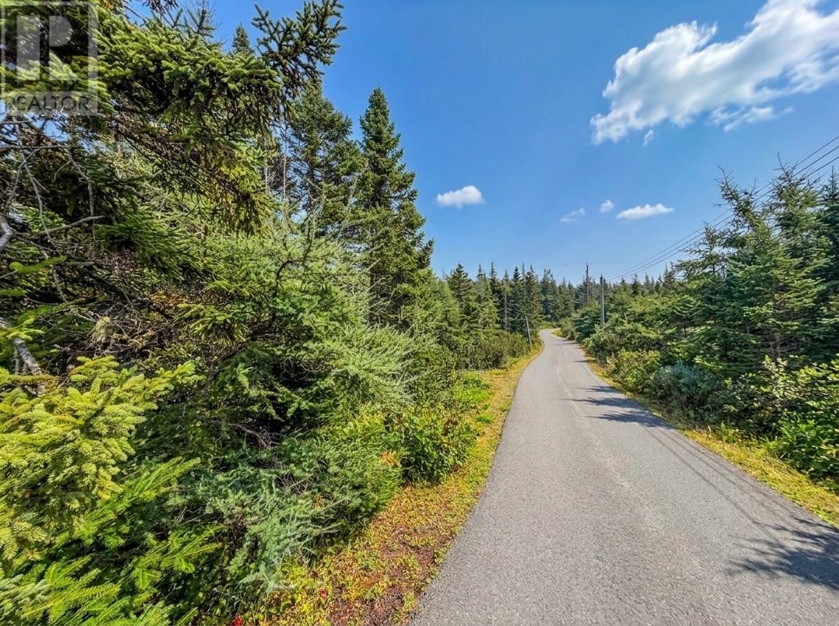 324 Hodgewater Line Property Photo 24
