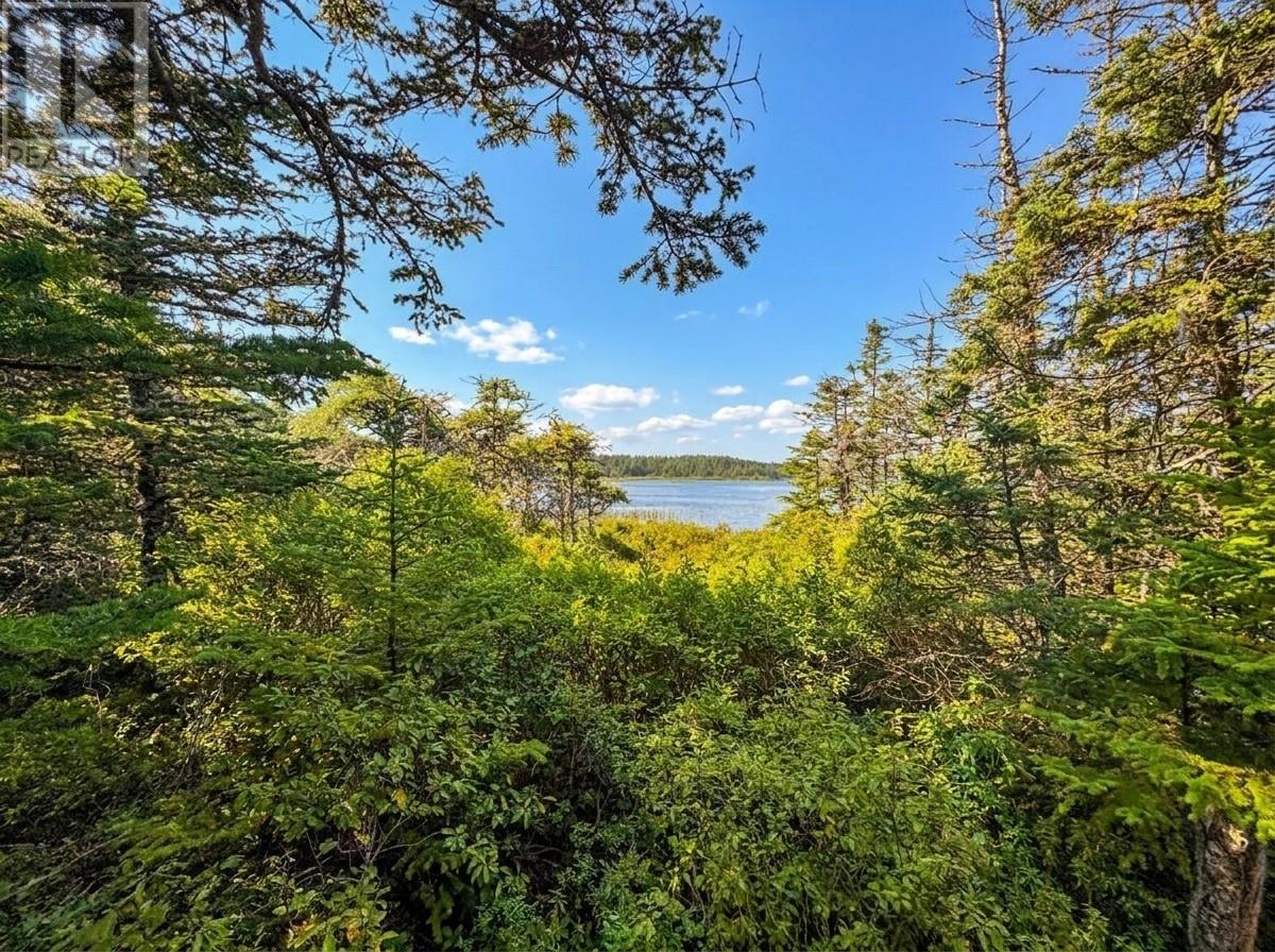 324 Hodgewater Line Property Photo 26