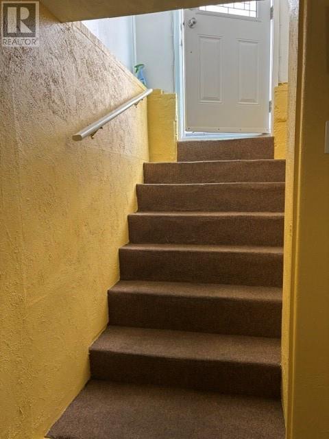 5 White's Avenue Property Photo 29