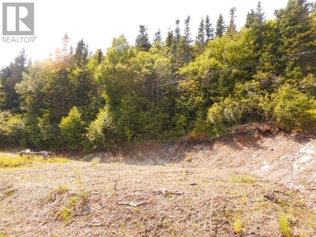 259a Main Street Property Photo 2