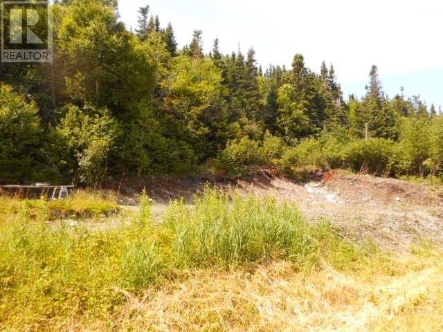 259a Main Street Property Photo 3