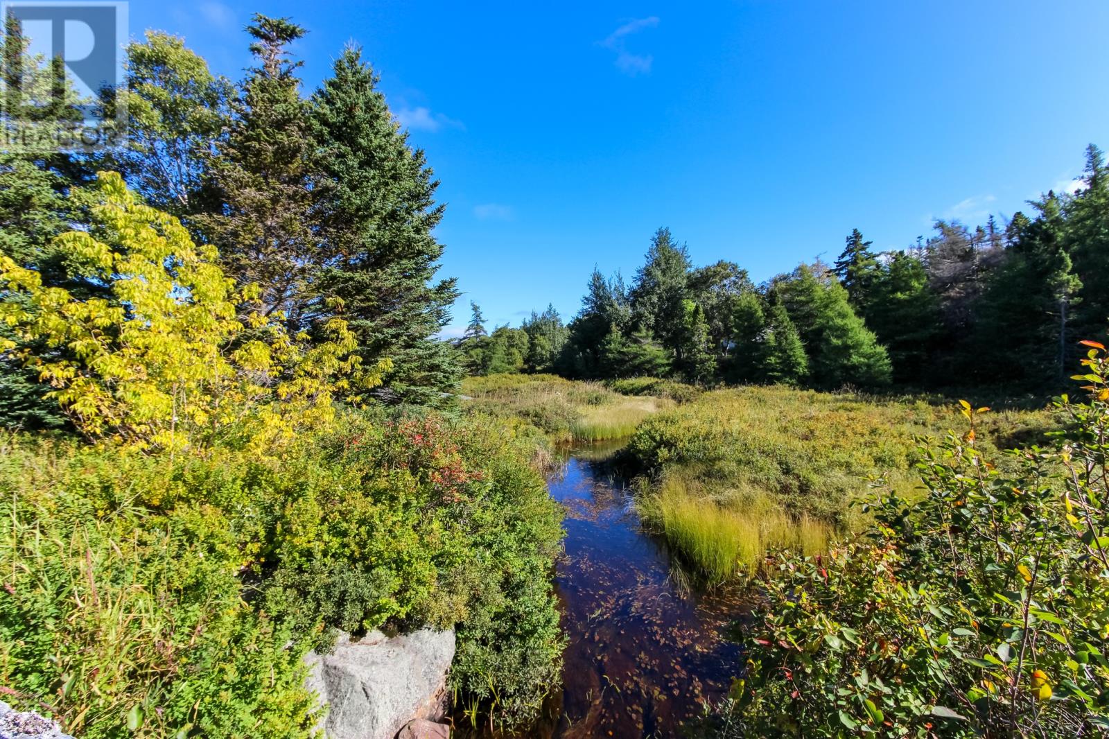 311 Conception Bay Highway Property Photo 6