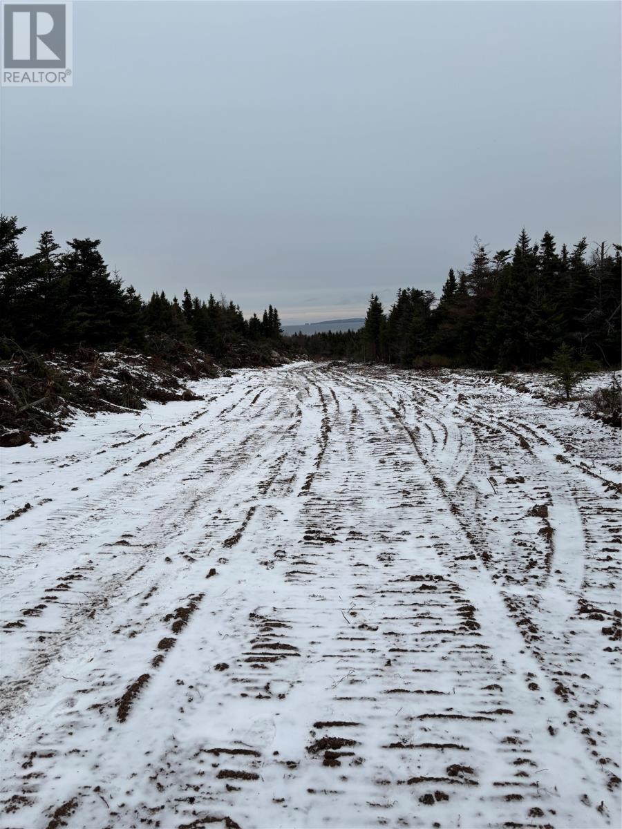 Lot 3 Silas Morgan Estates Property Photo 2