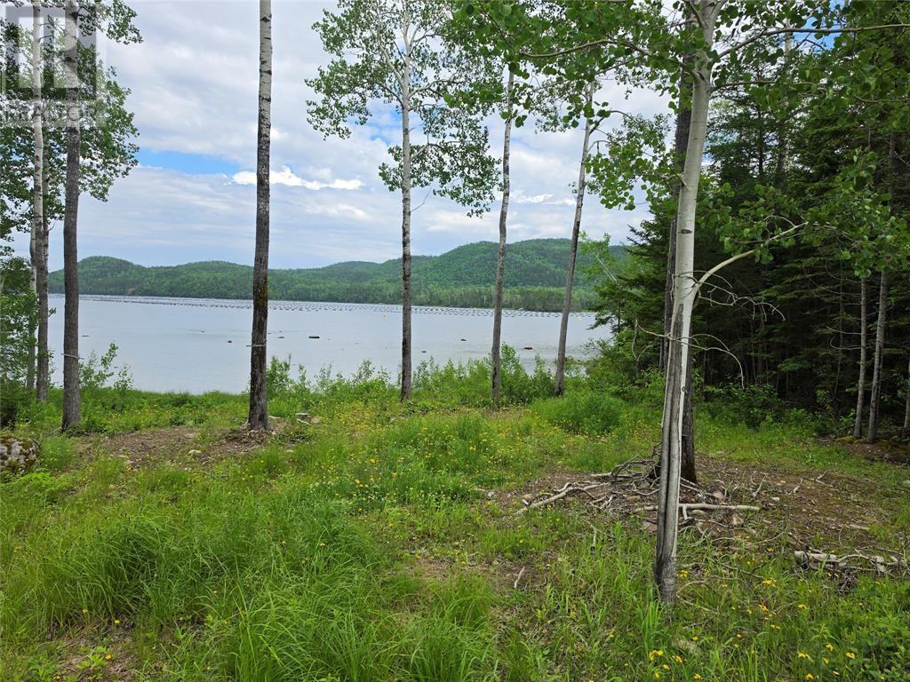 3 Salt Water Pond Road Property Photo 5