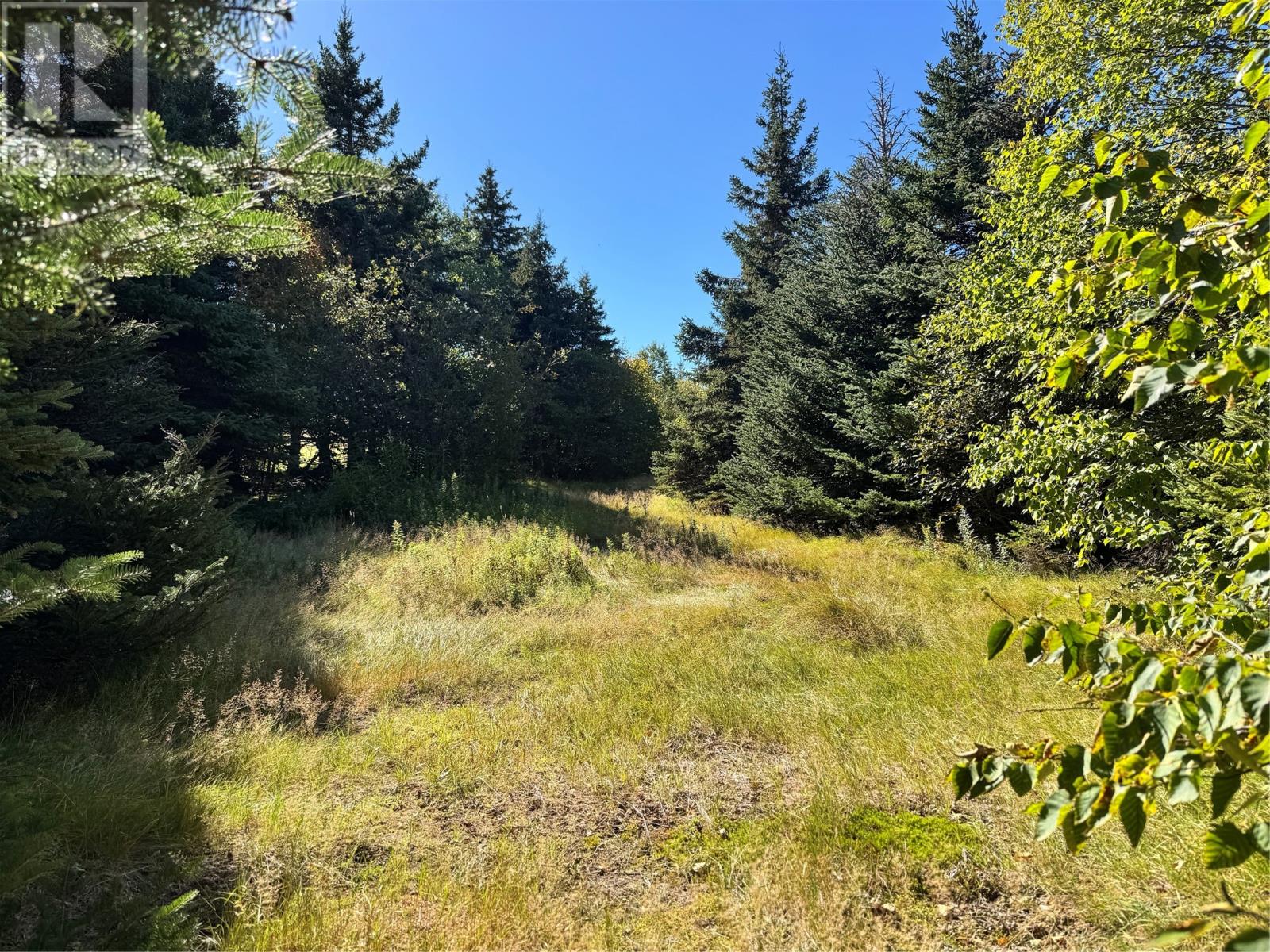 0 Main Road Property Photo 1